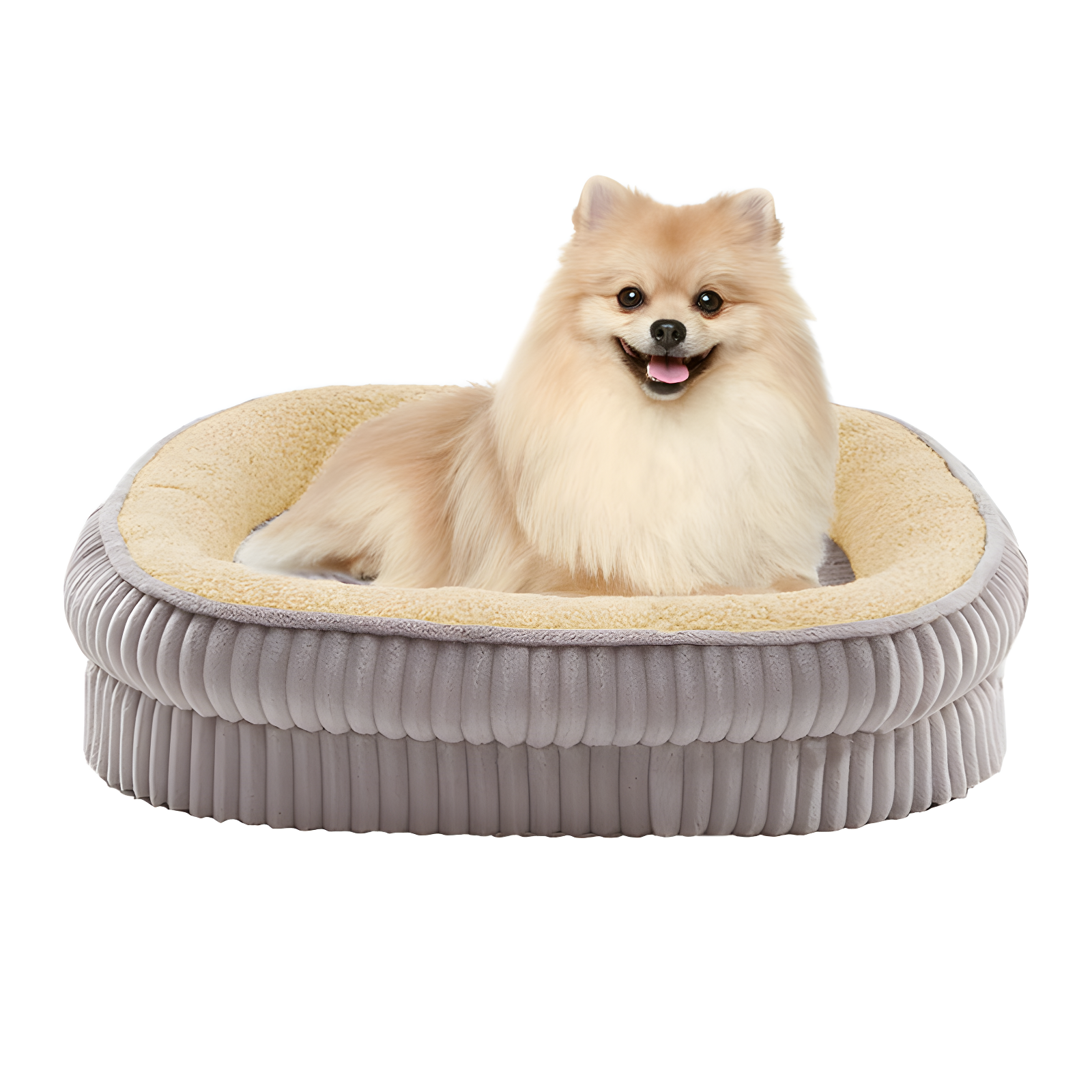 Dog Bed for Puppy, Oval Cat Beds, Pet Couch Bed with Four Sided Bolster