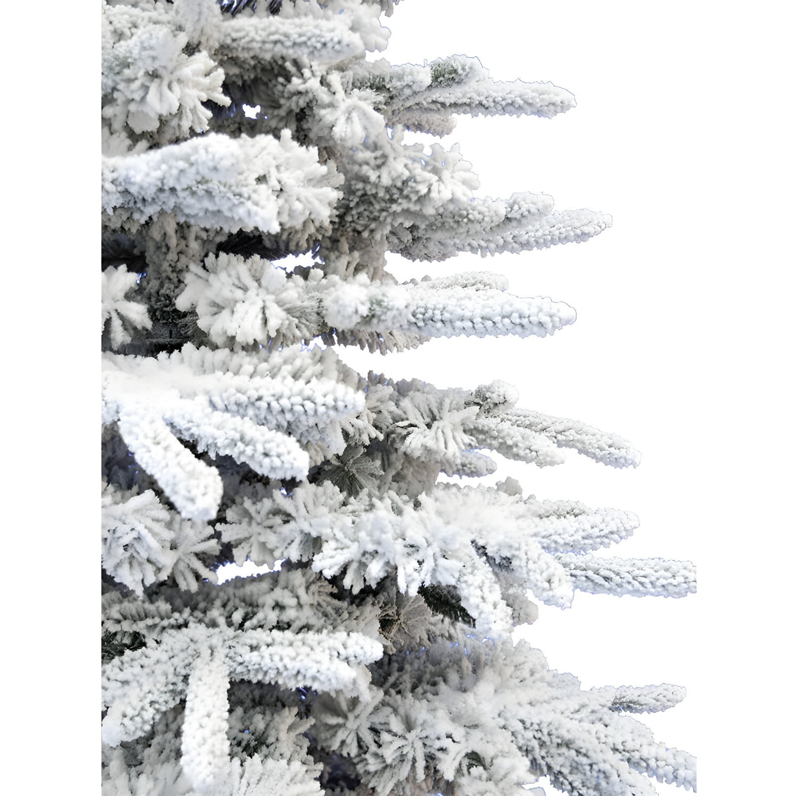 White Pine 7.5' Christmas Tree