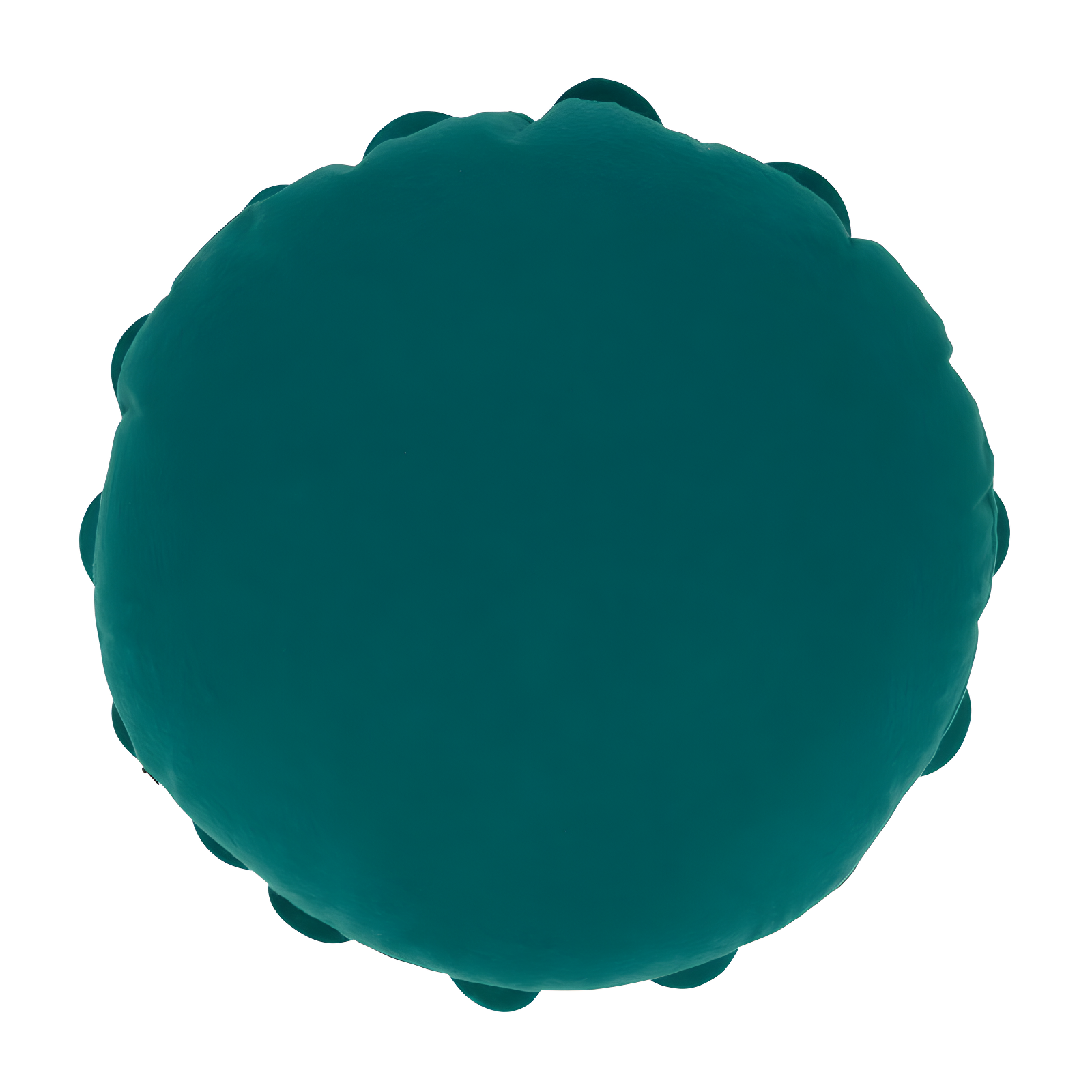 Flower Appliqued Felt Throw Pillow
