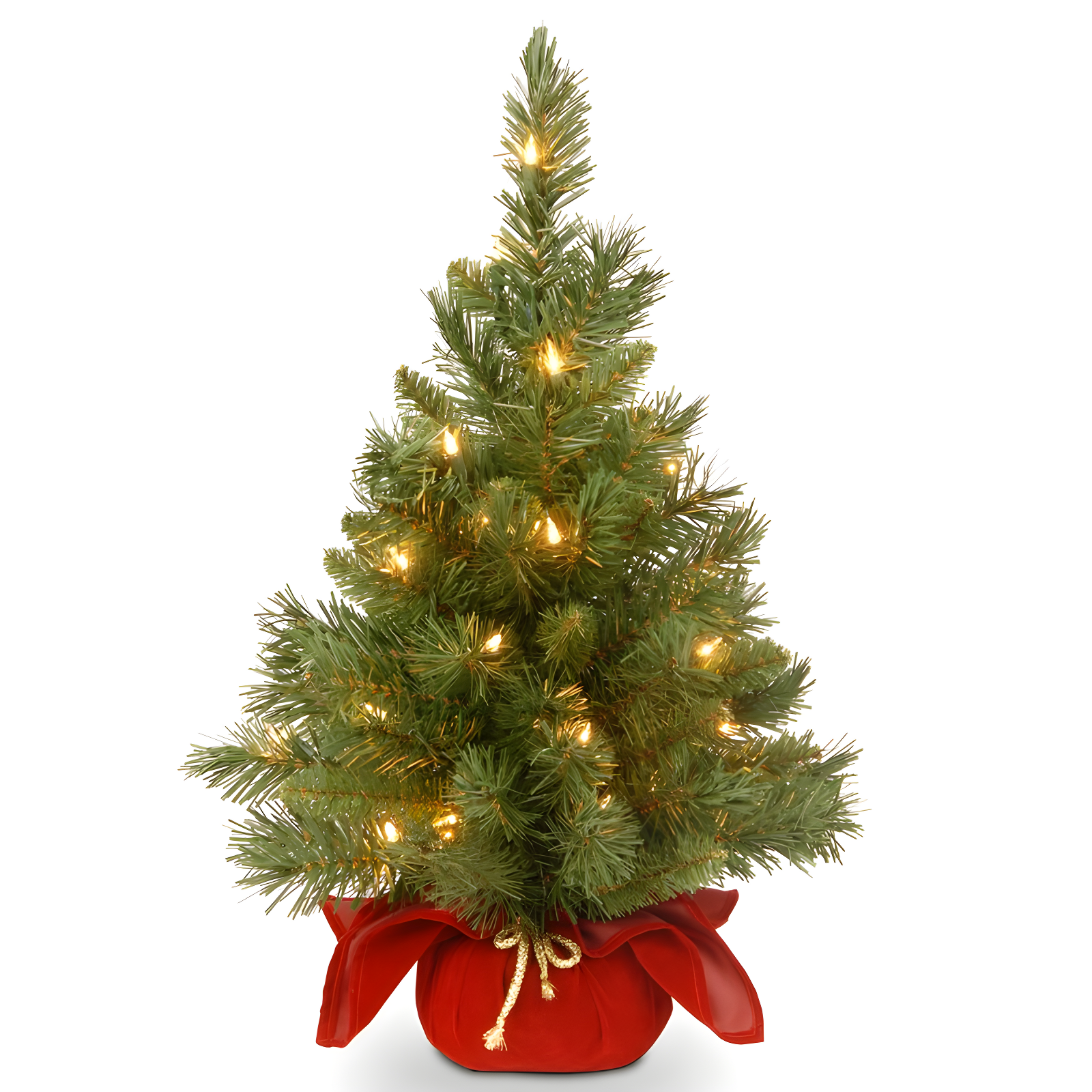 The Holiday Aisle® 2ft. Majestic Fir Tree with Clear Lights