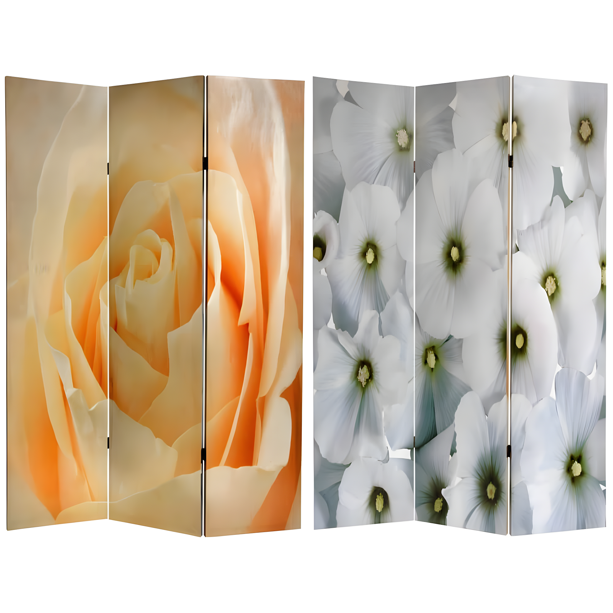 Red Lantern 6 ft. Tall Floral Double Sided Room Divider, 71 inches high and 3 Panels wide