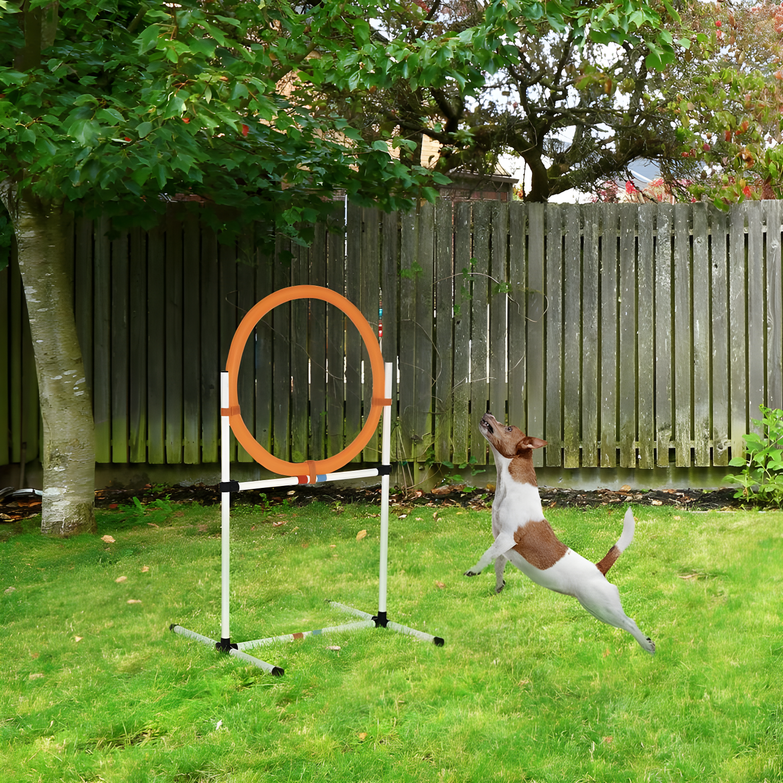 PawHut 2-in-1 Dog Obstacle Training Agility Equipment Tire Jump Ring/Hurdle Bar