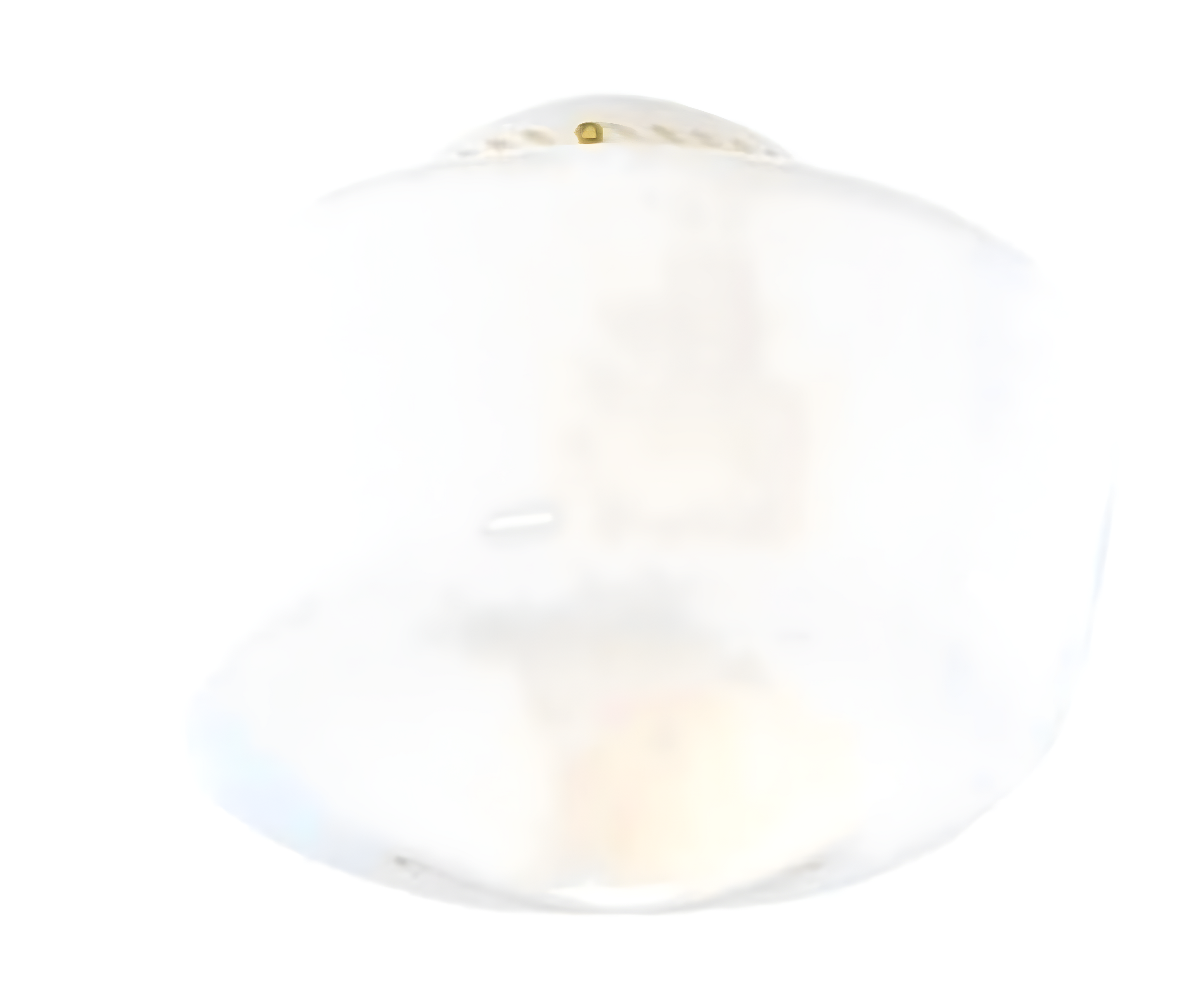 Hunter Fan Original Schoolhouse 7" H x 19" W Glass Bowl Ceiling Fan Bowl Shade ( Screw On ) in White