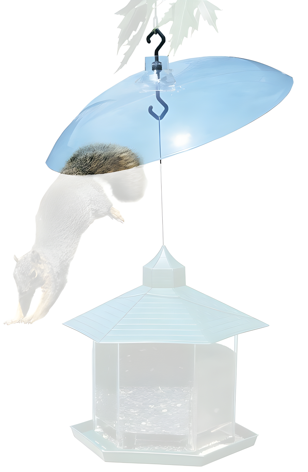 Plastic Squirrel Guard