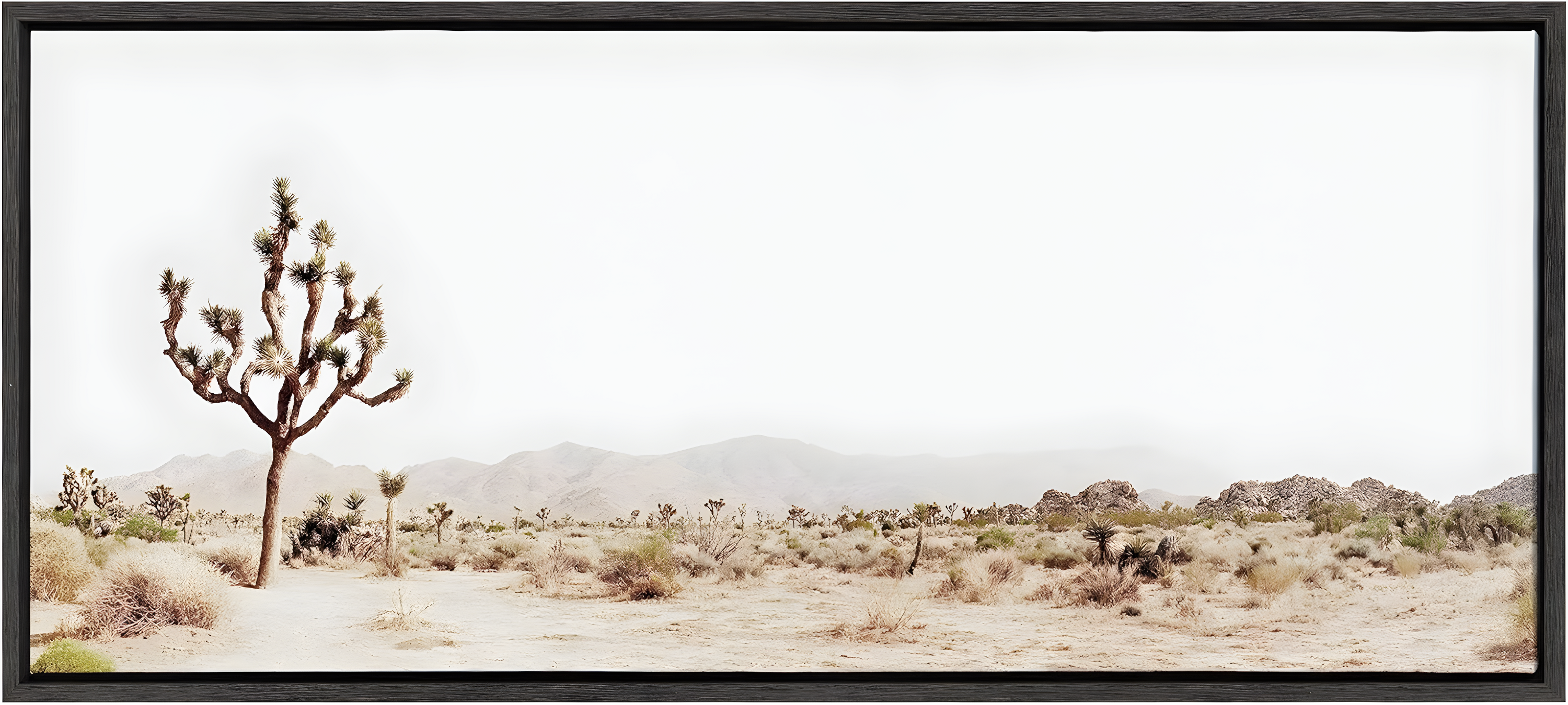 Gray Framed Joshua Tree Desert Landscape Canvas Art, 18x40