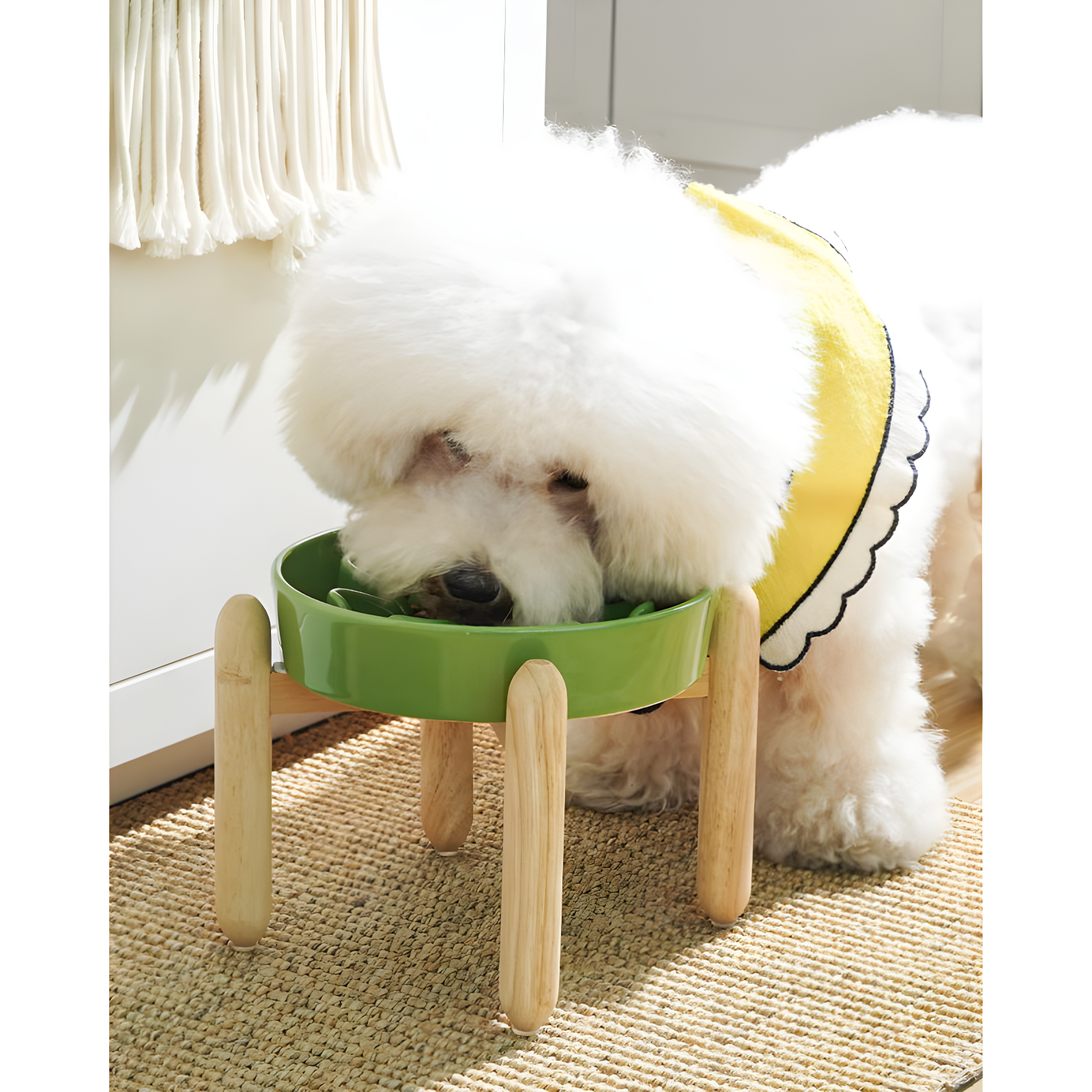 Ceramic Slow Feed Dog Bowls