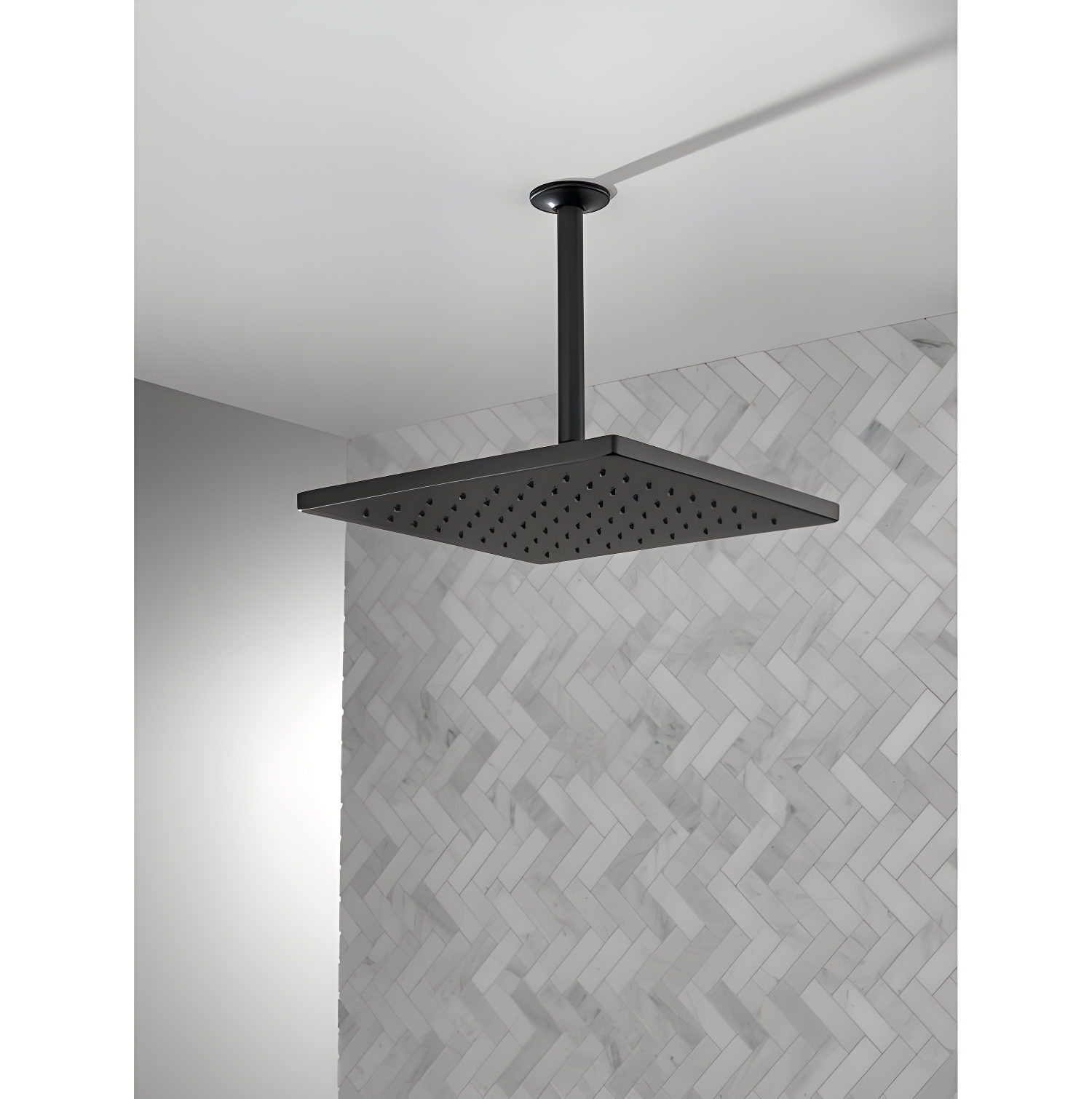 Delta Rain Adjustable Shower Head