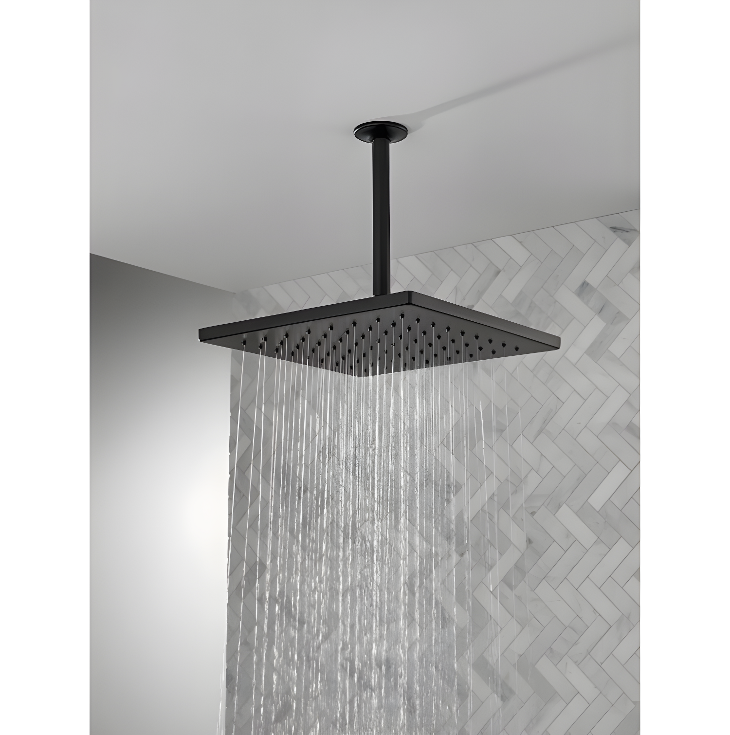 Delta Rain Adjustable Shower Head