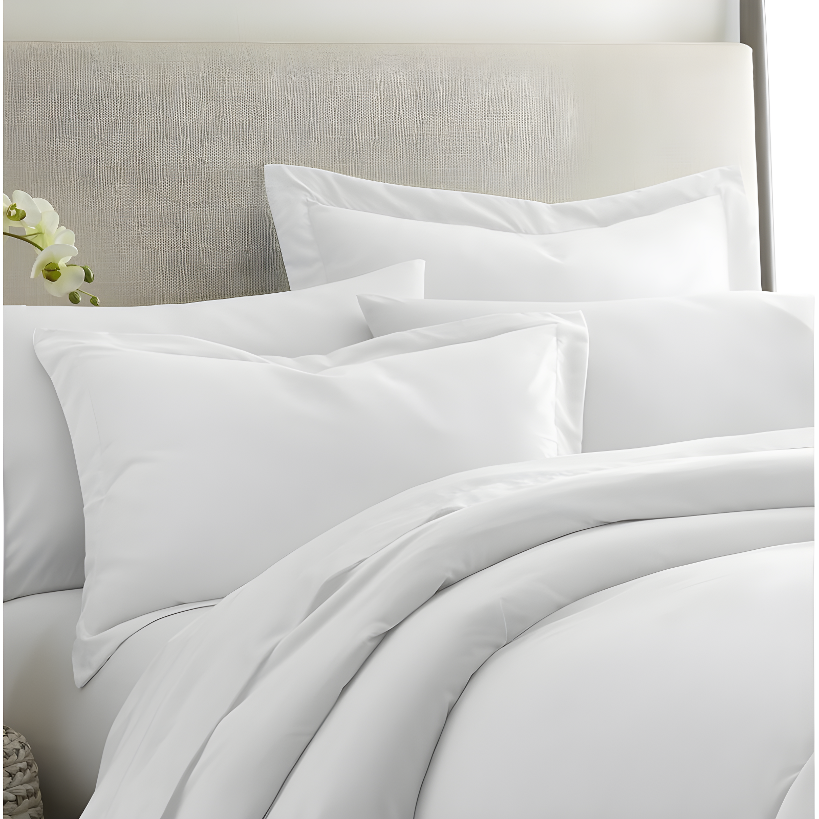 Becky Cameron Pillow Shams 2-Pack Microfiber Ultra Soft Bedding (Set of 2)
