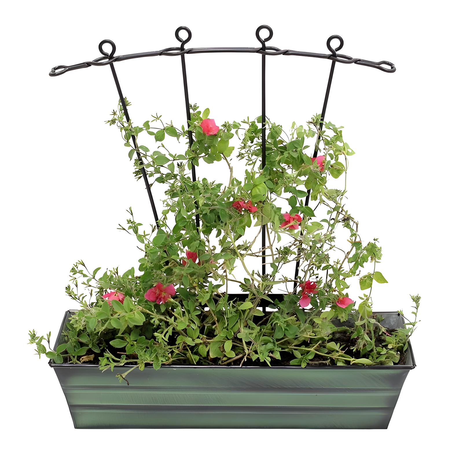 Small Galvanized Metal Rectangular Planter Box Green Patina - ACHLA Designs: Steel Decorative Container, Wall-Mountable, Easy to Clean