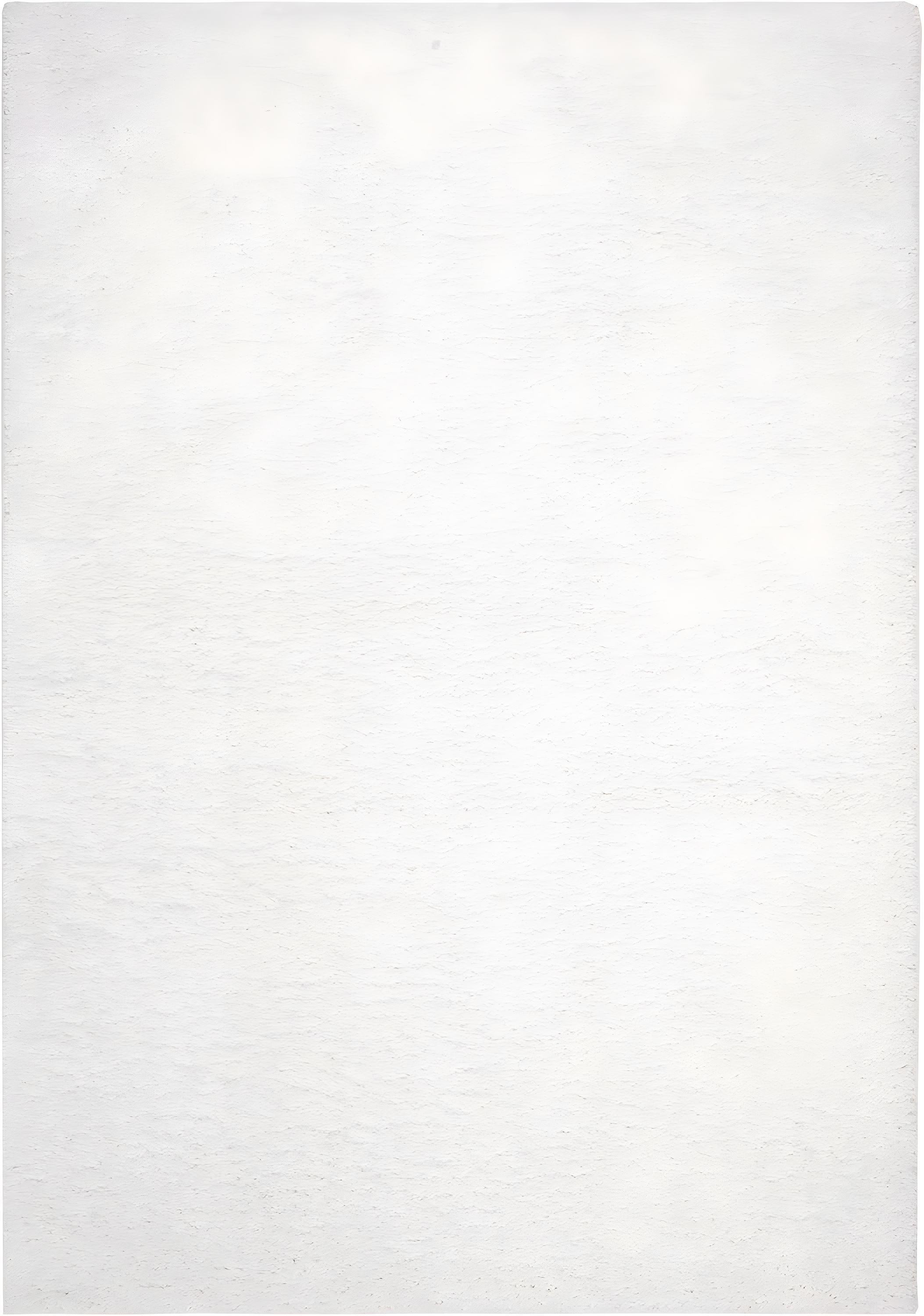 SAFAVIEH August Carlene Solid Plush Shag Area Rug, White, 12' x 15'