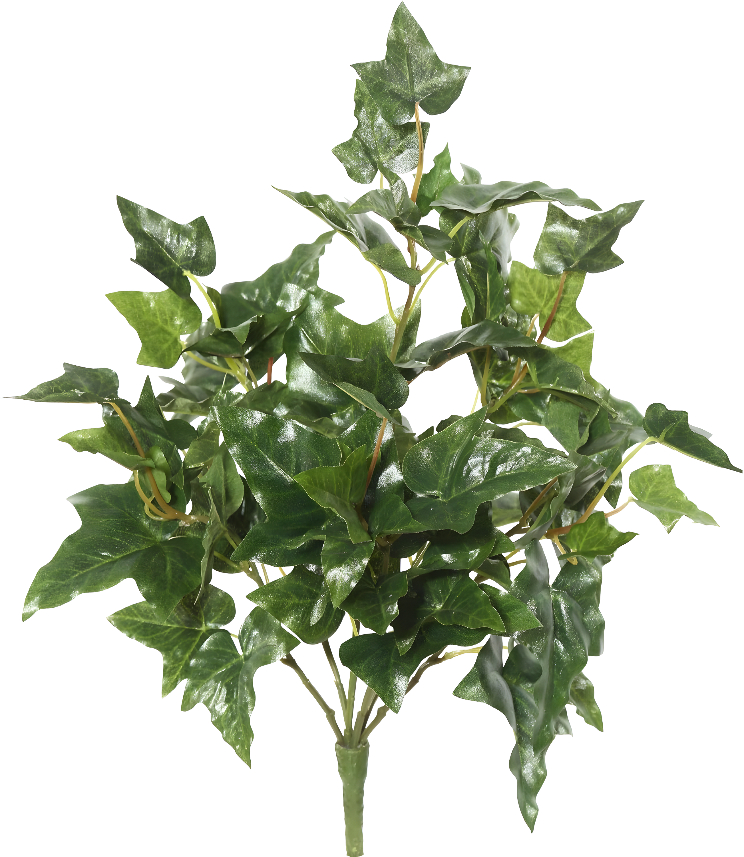 Vickerman 20" Artificial Green English Ivy Bush.
