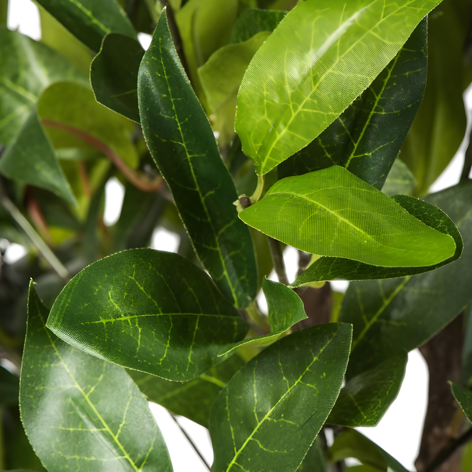 Vickerman Artificial Camellia Tree in Pot 50": Silk Polyester Foliage, Indoor Floor Decor, No Assembly Required