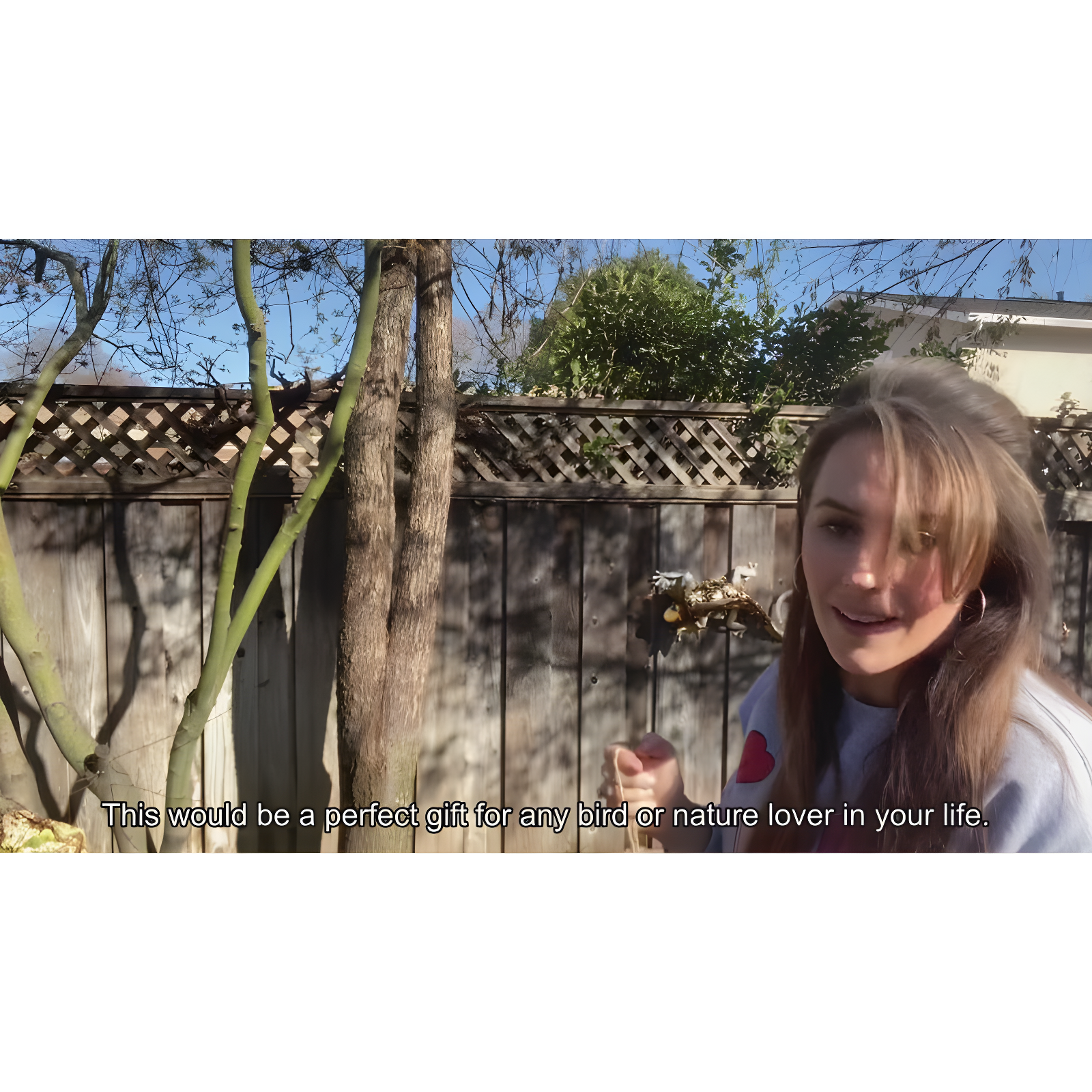 Dawhud Direct Hand-Painted Bird Houses for Outdoors Decorative Birdhouses