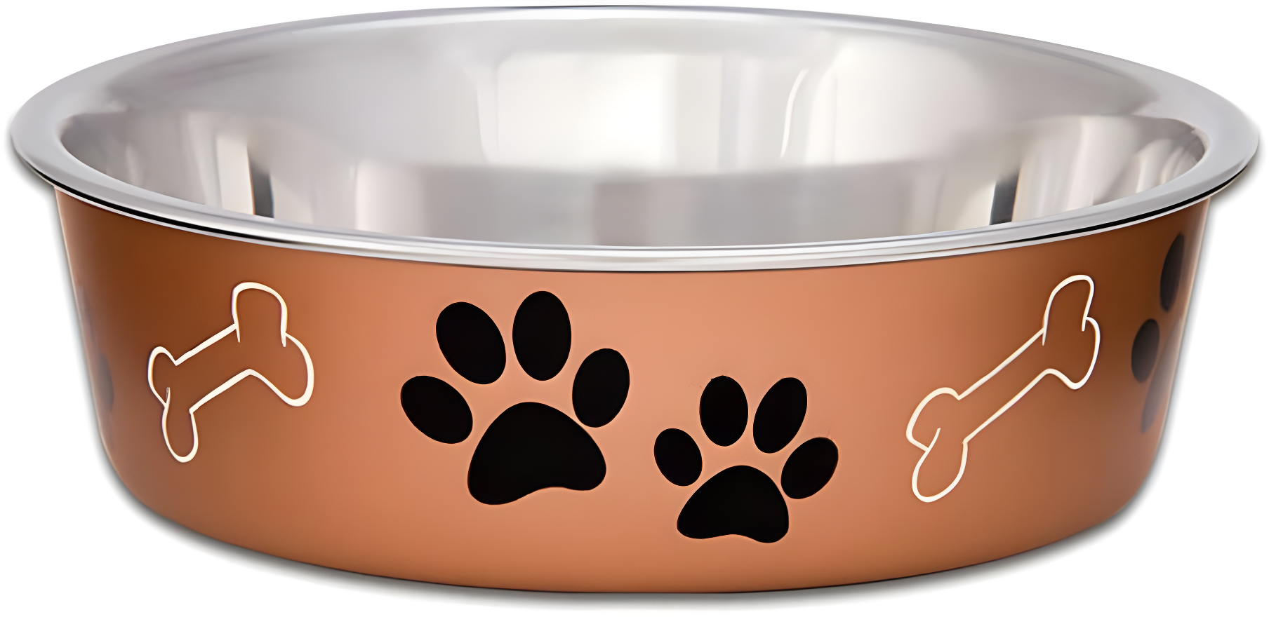 Stainless Steel Dog Dish Fun Print Feeding Bowls Non Slip Rubber Base (Medium - Copper)