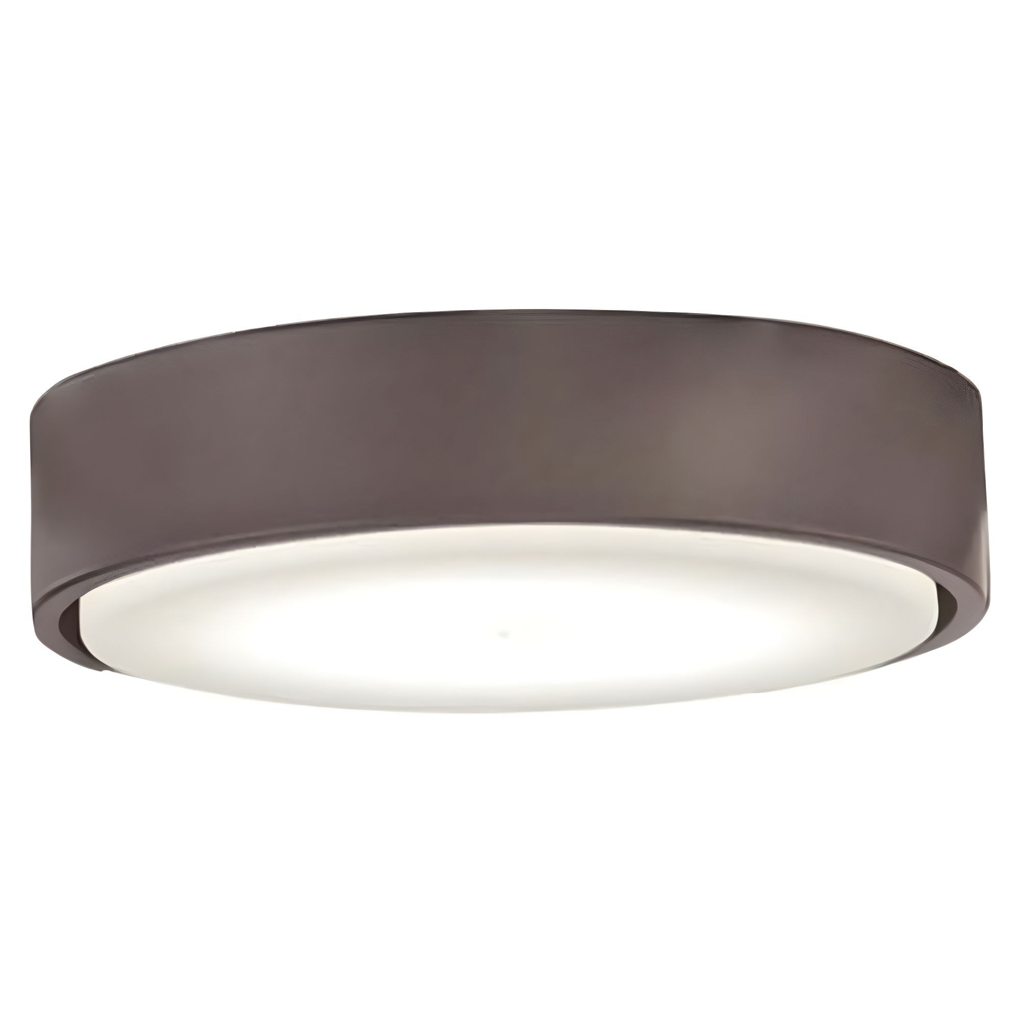 Minka Aire Xtreme H20 1-Light LED Ceiling Fan Globe Light Kit