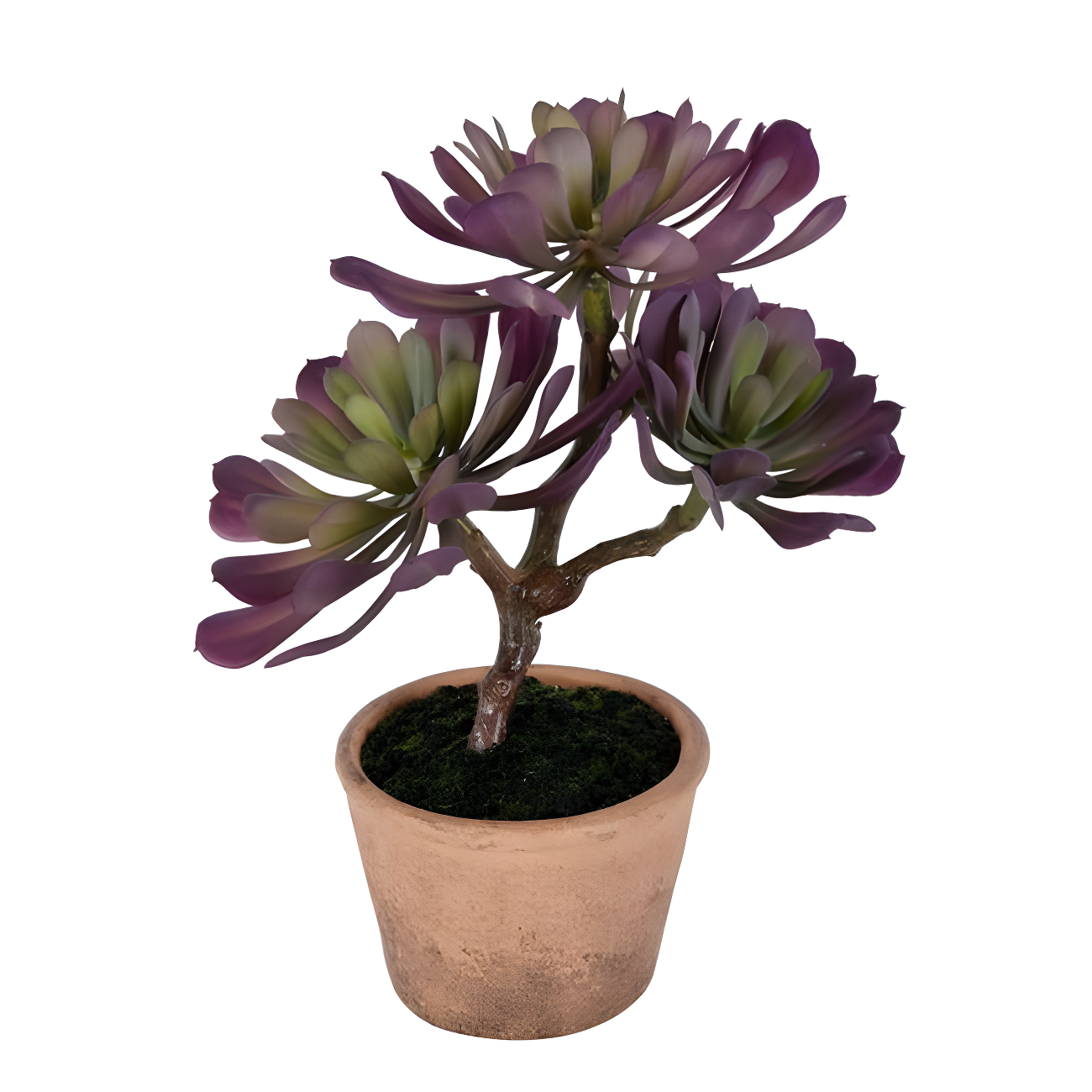 Vickerman 12" Artificial Purple and Green Succulent, Paper Pot.