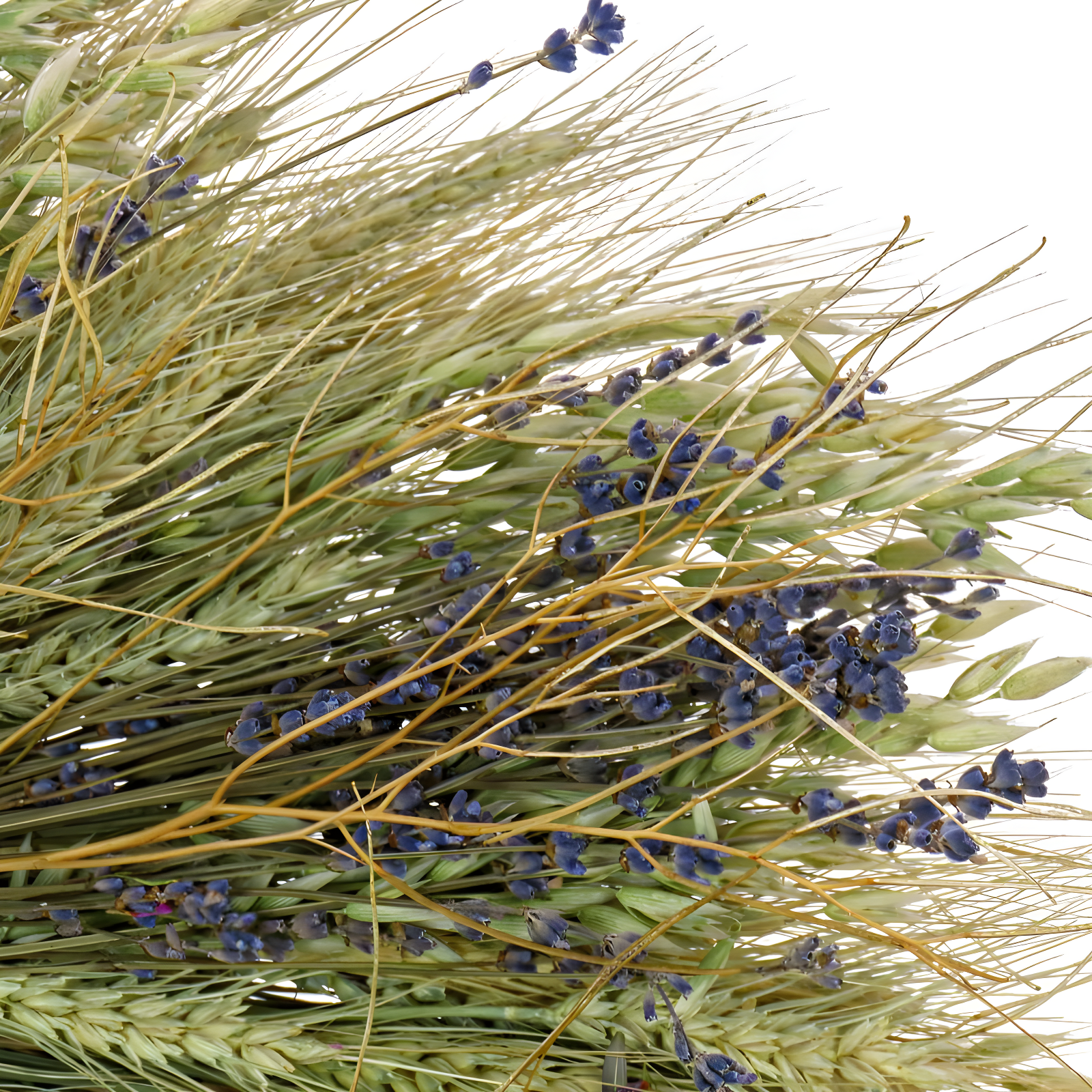 22" Artificial Wheat Stalks Spring Wreath with Lavender and Leafy Greens - National Tree Company