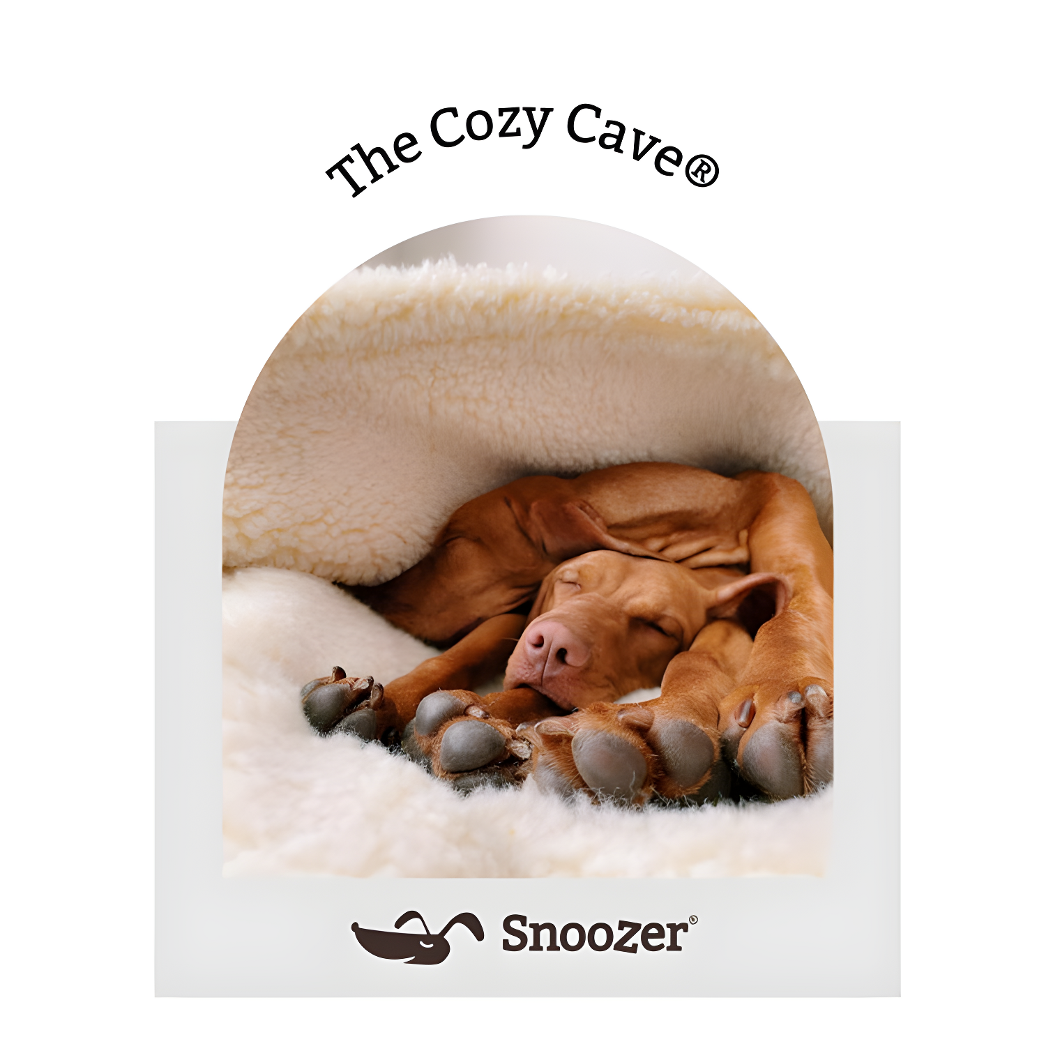 Snoozer Cozy Cave Hooded Dog Bed Poly/Cotton