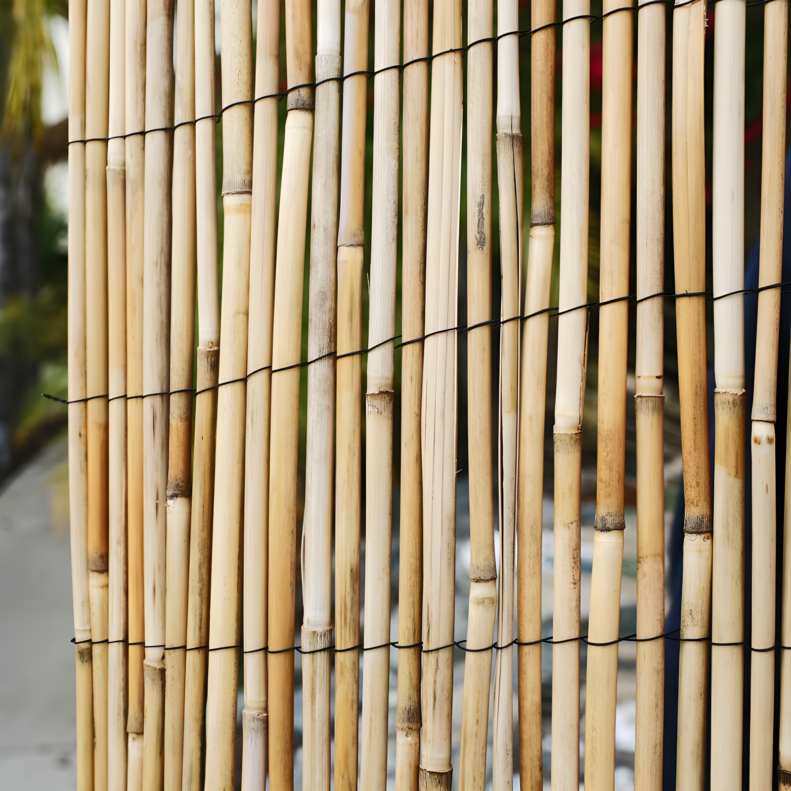 Backyard X-Scapes 6 ft. H x 16 ft. W Natural Jumbo Reed Fence Decorative Garden Fencing Divider