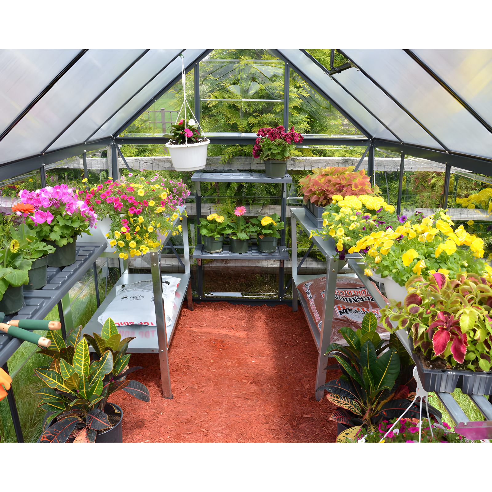 Palram - Canopia Hybrid Polycarbonate Hobby Greenhouse