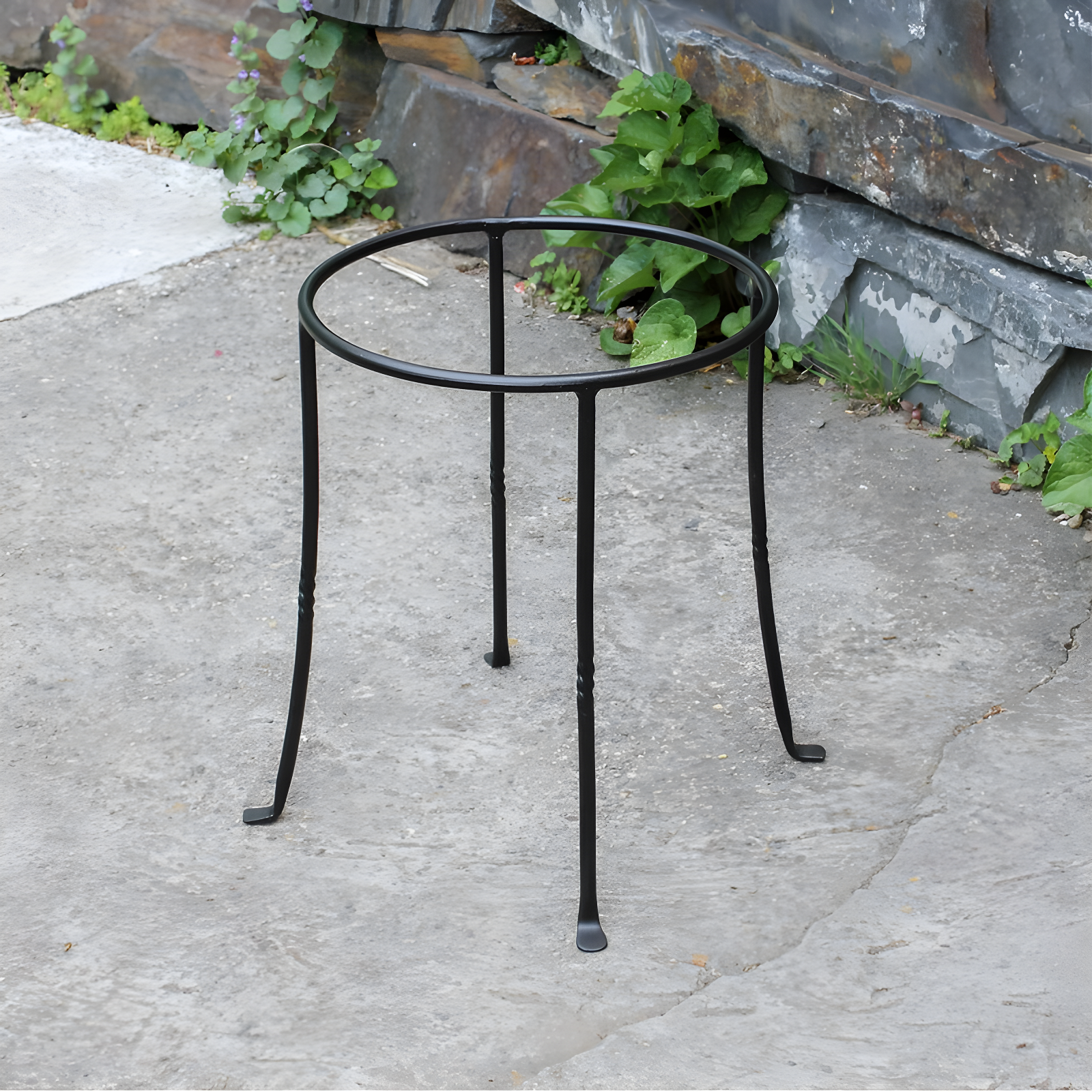 Winston Porter Drumnasole Iron Pedestal Birdbath