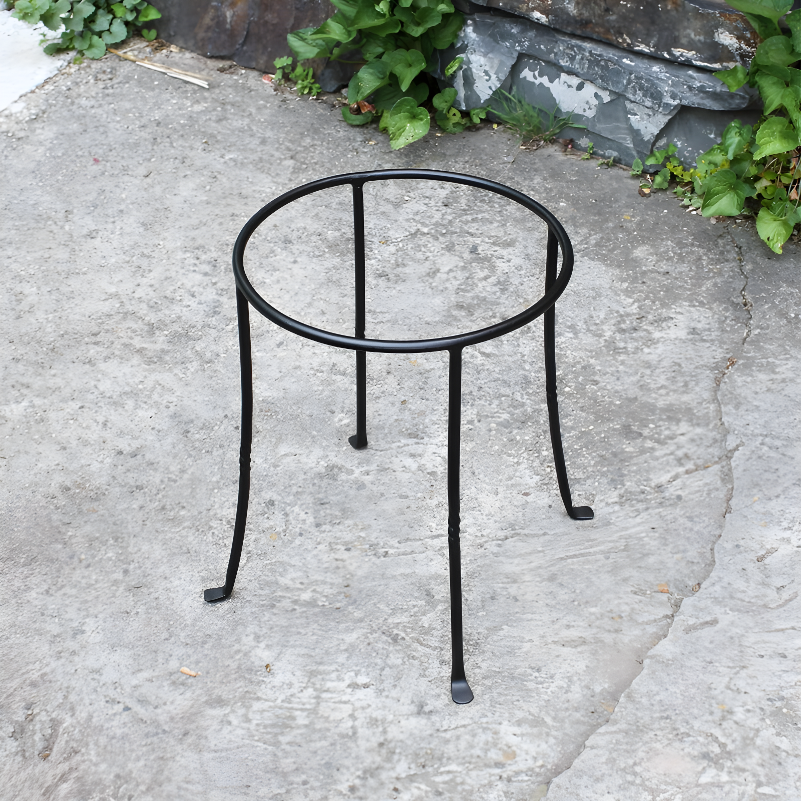 Winston Porter Drumnasole Iron Pedestal Birdbath