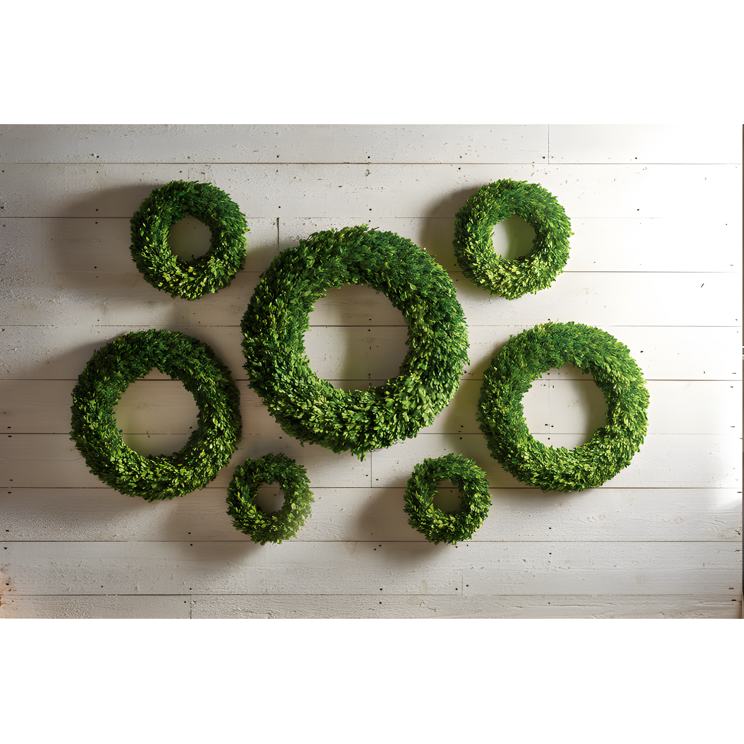 Alby Preserved Boxwood Real Greenery Wreath