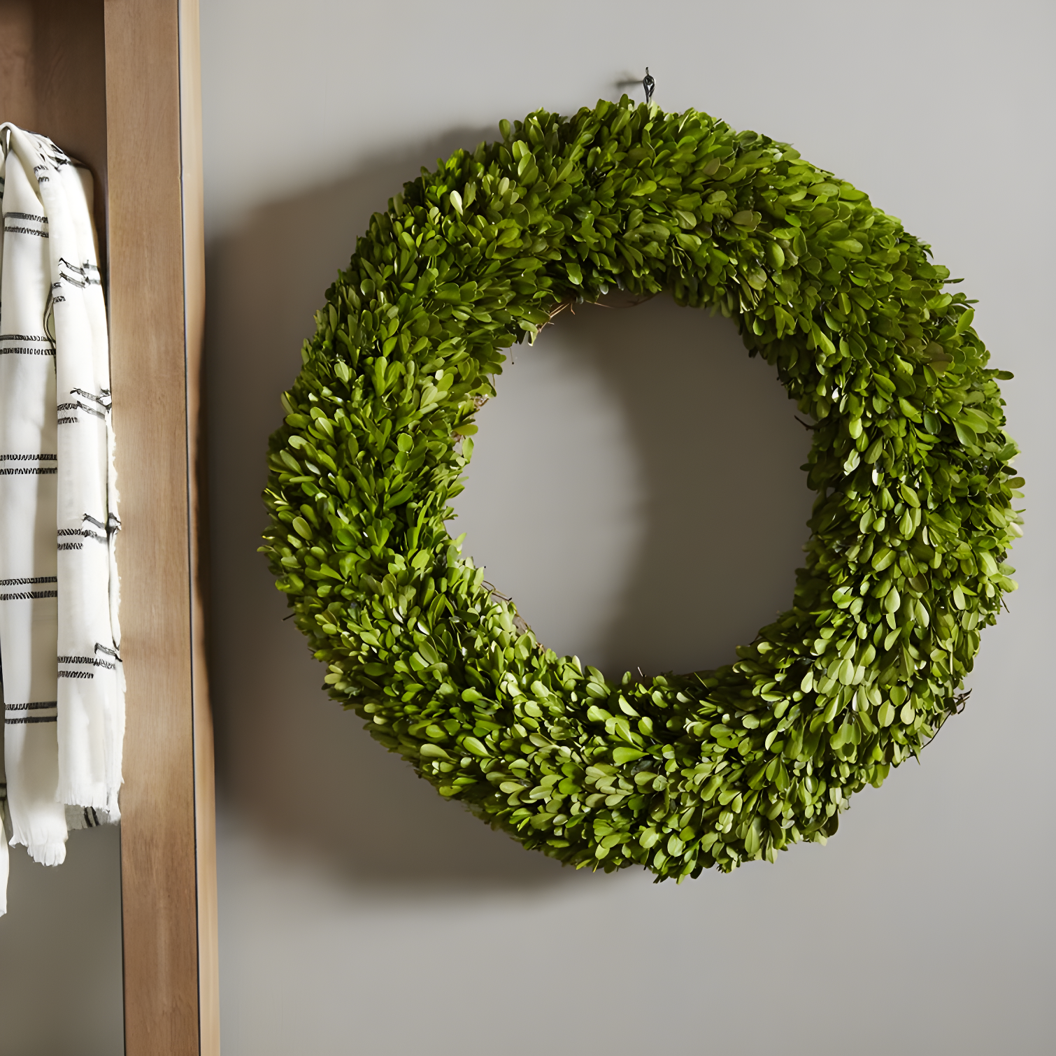 Alby Preserved Boxwood Real Greenery Wreath