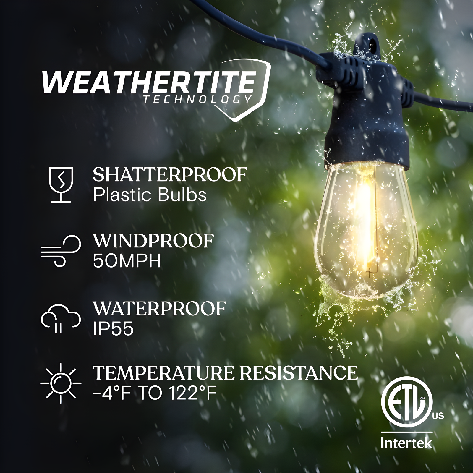 Brightech 12-Bulb LED Ambience Pro Solar 1W 27ft 2700K S14 Outdoor String Lights Clear Bulb Black Wire