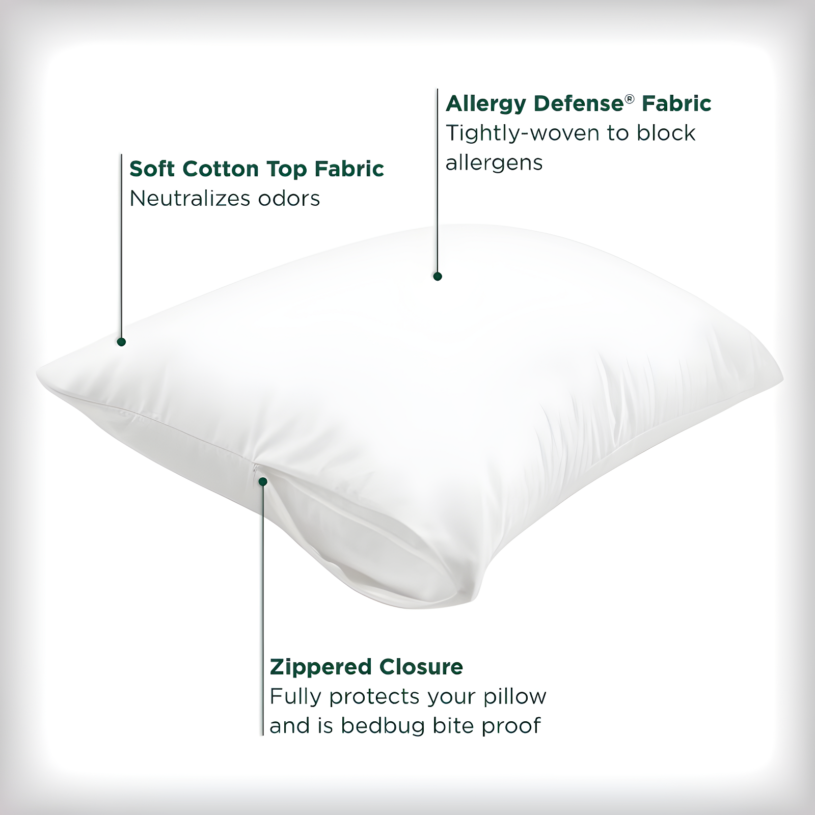 Jumbo Reserve Cotton Fresh Pillow Protector - AllerEase: Hypoallergenic, Zippered, Machine Washable