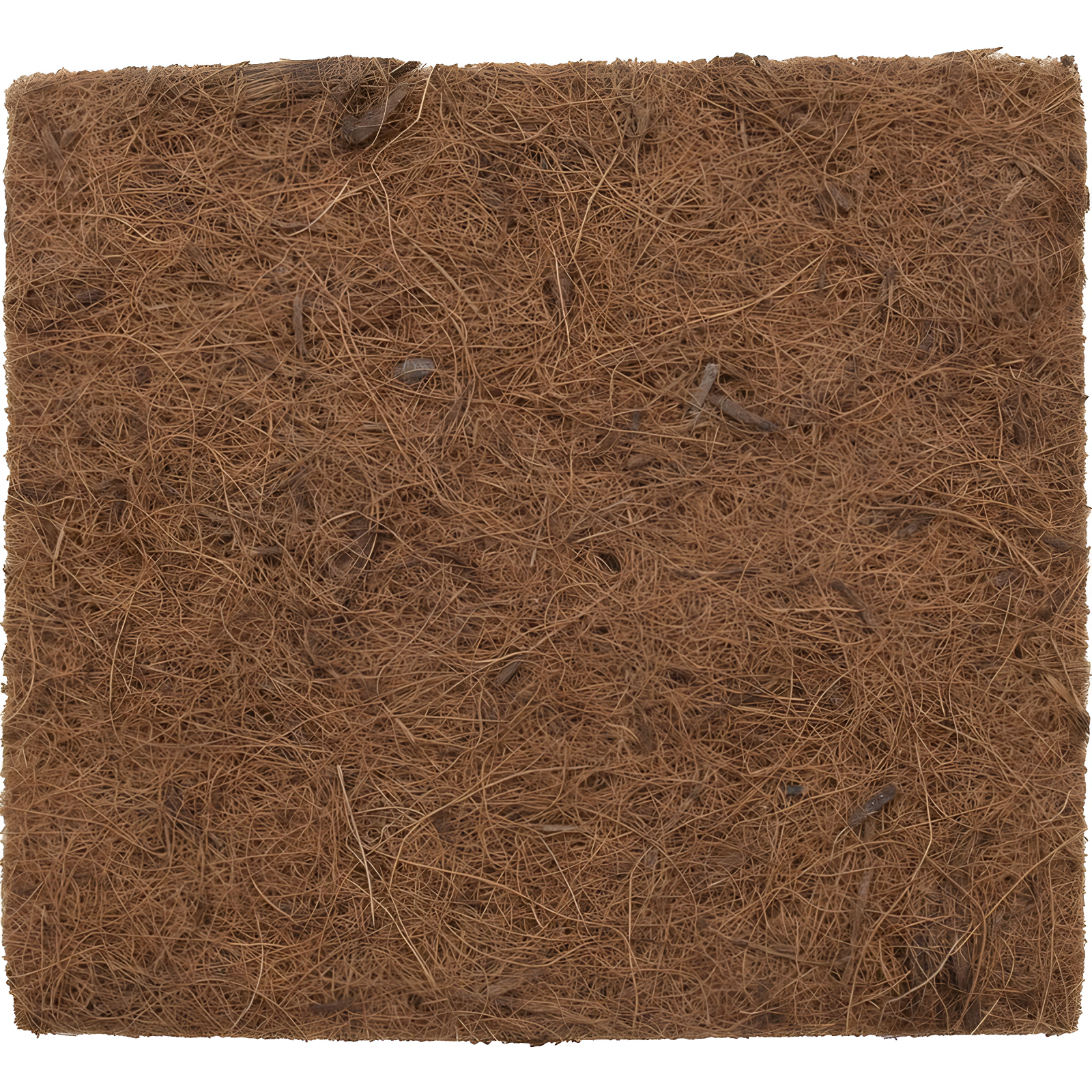 Natural Fibers Nesting Boxes (Set of 5)