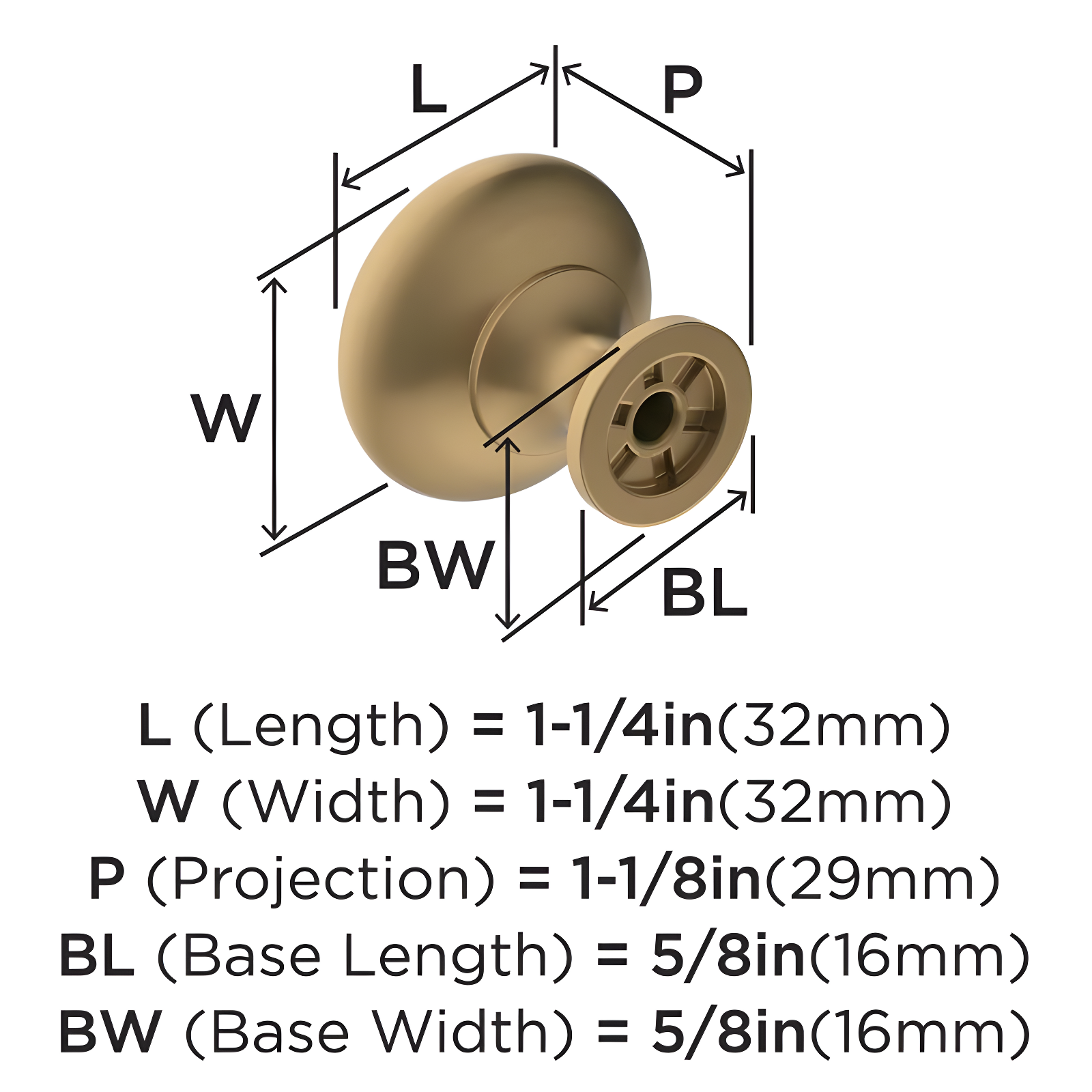 Amerock Edona 1-1/4 inch (32mm) Diameter Champagne Bronze Cabinet Knob
