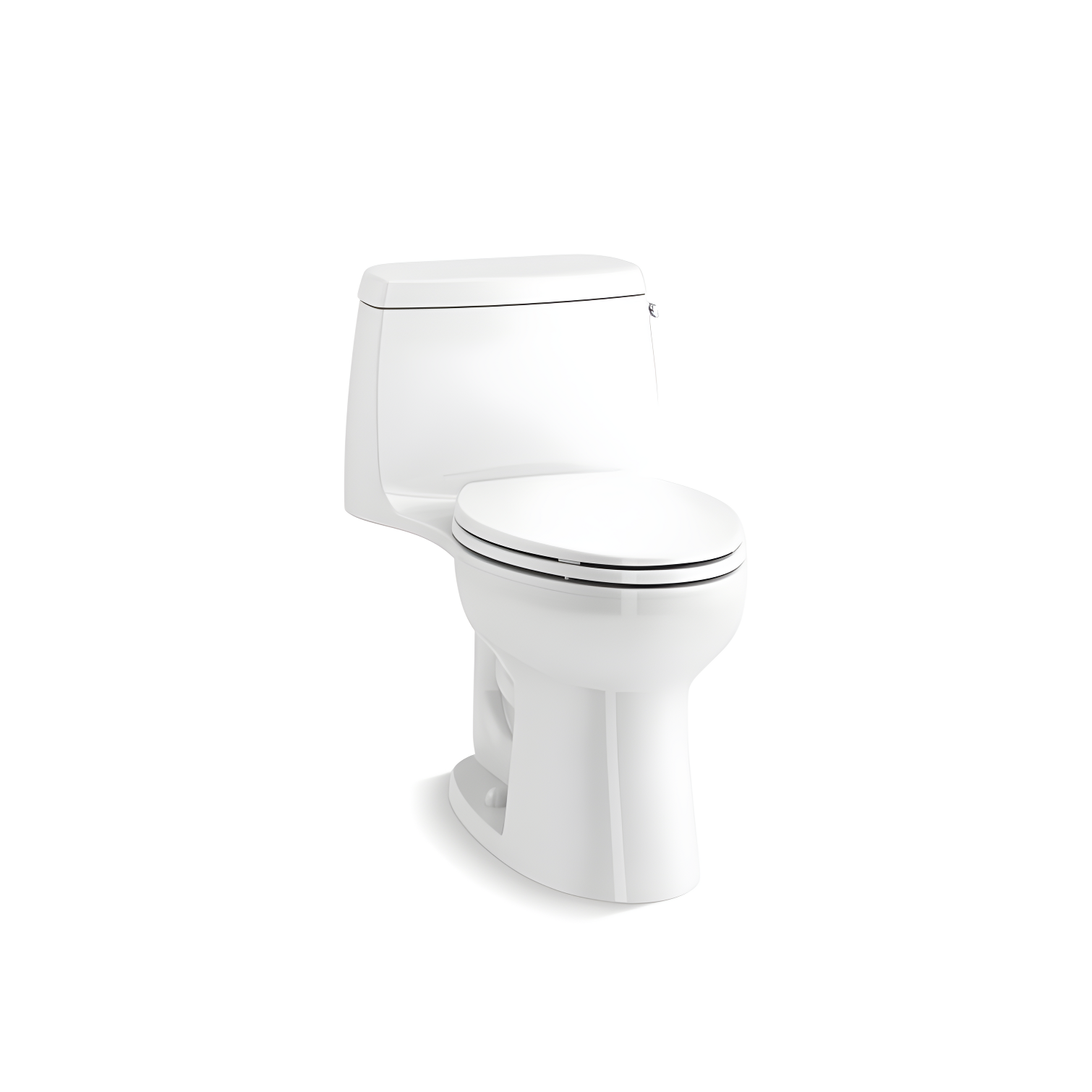 Santa Rosa One-Piece Compact Elongated 1.6 Gpf Toilet With Revolution 360 Swirl Flushing Technology