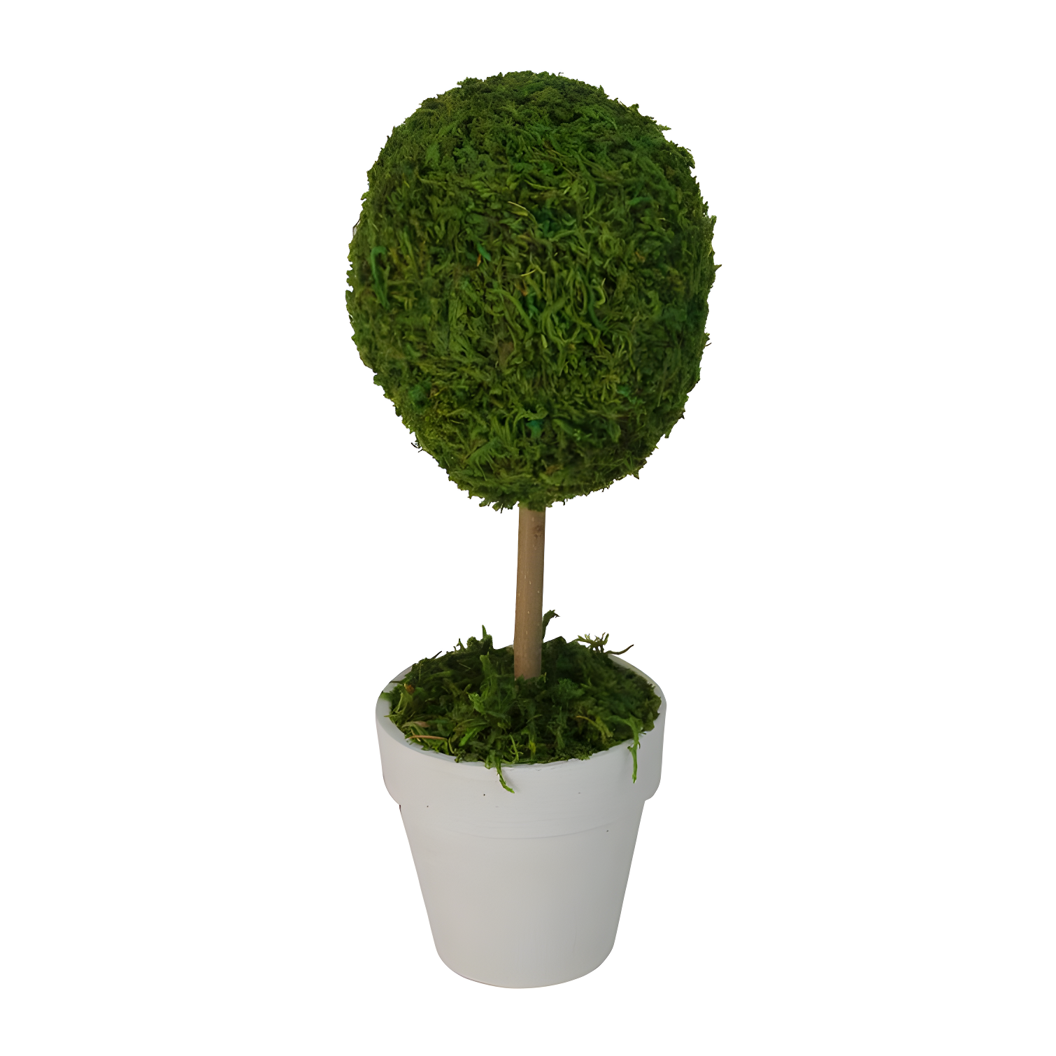 Northlight Seasonal Green Reindeer Moss Ball Potted Artificial Spring Topiary Tree