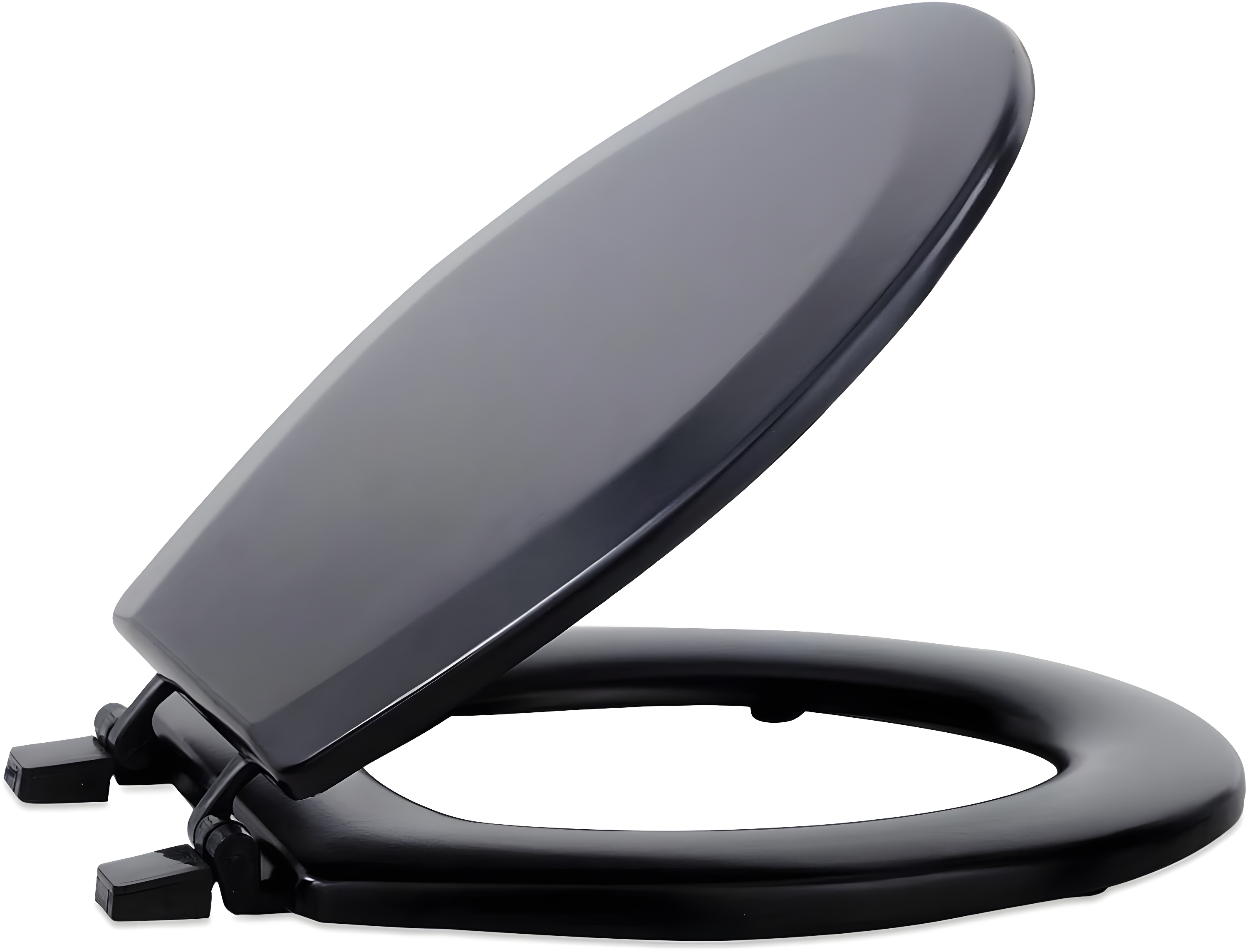 Fantasia Round Toilet Seat and Lid