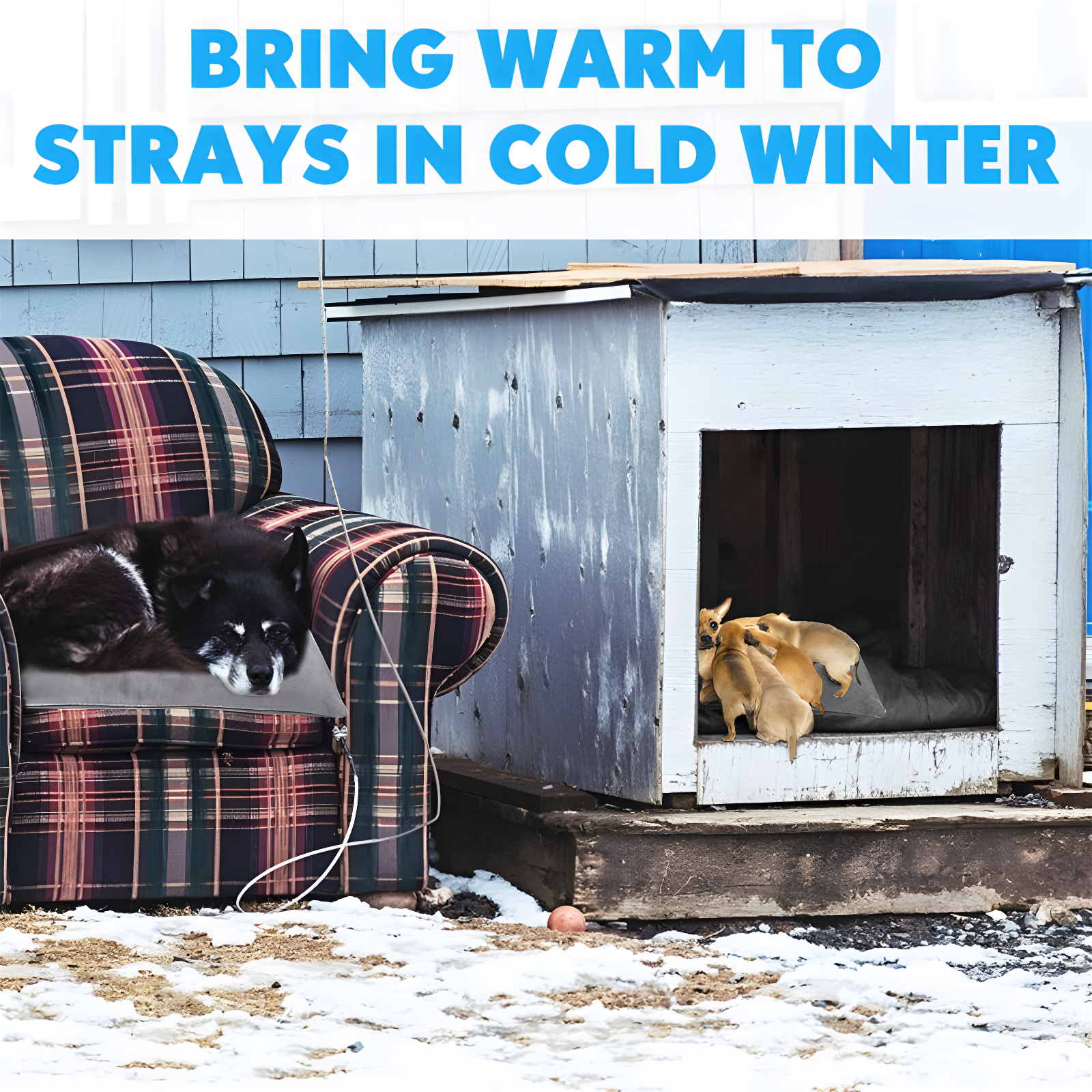 Velvet Pet Bed Accessory