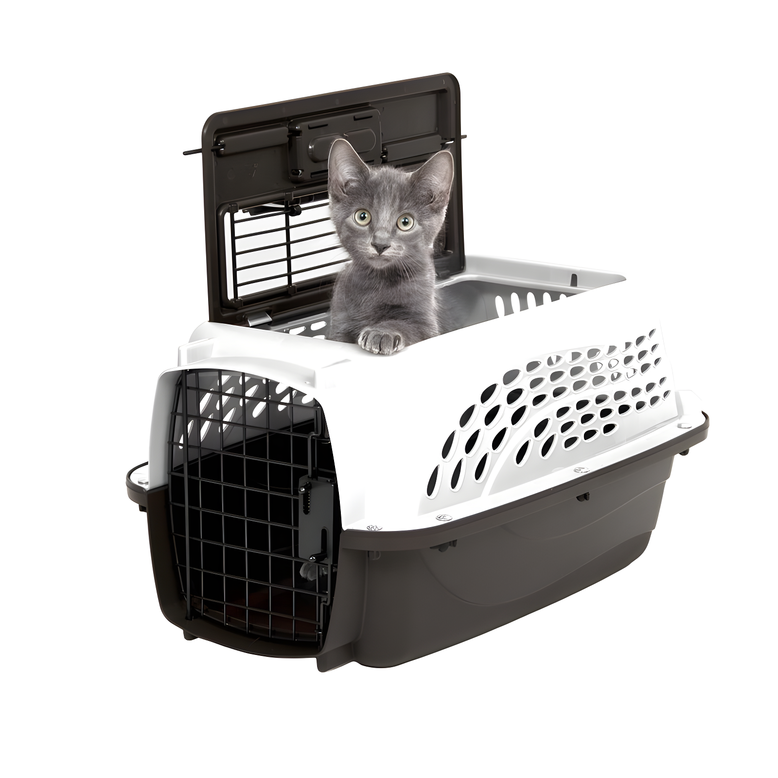 Plastic Pet Carrier with 1 Door