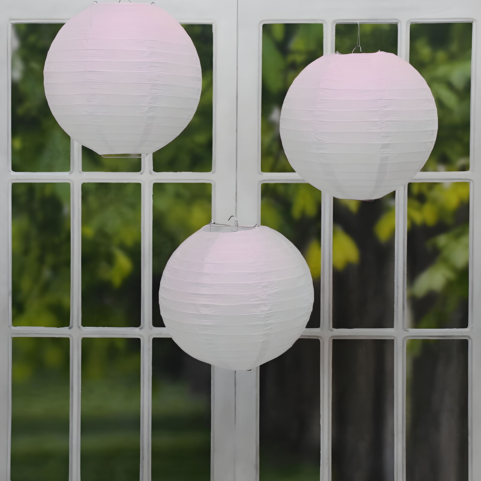 Paper Paper Lantern (Set of 5)
