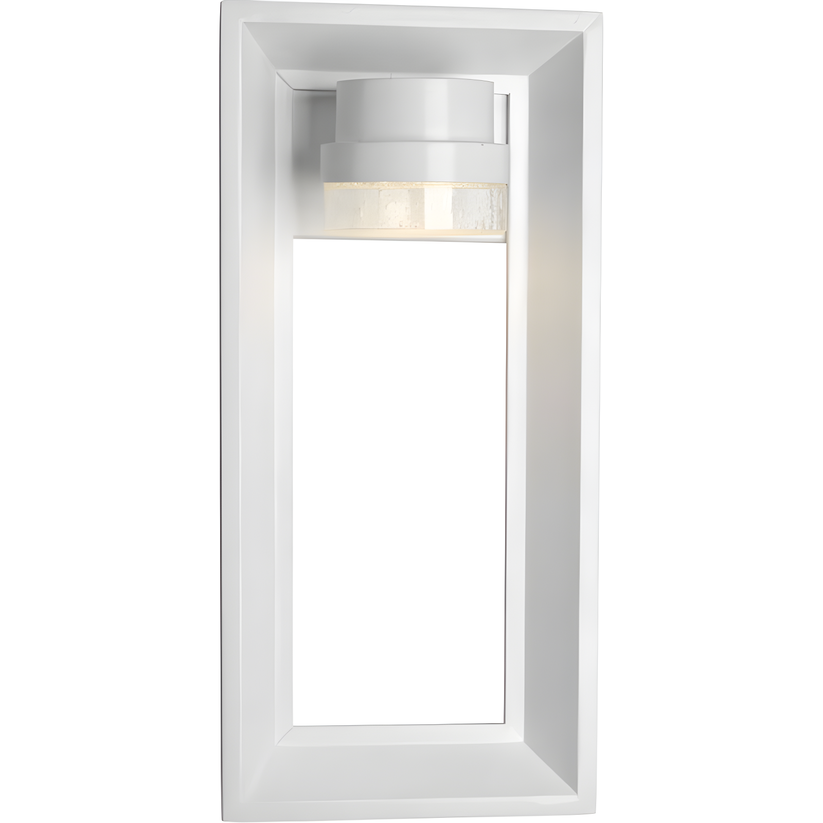 Progress Lighting Z-1010 1-Light Outdoor Wall Sconce, Black Finish, Seeded Glass Shade