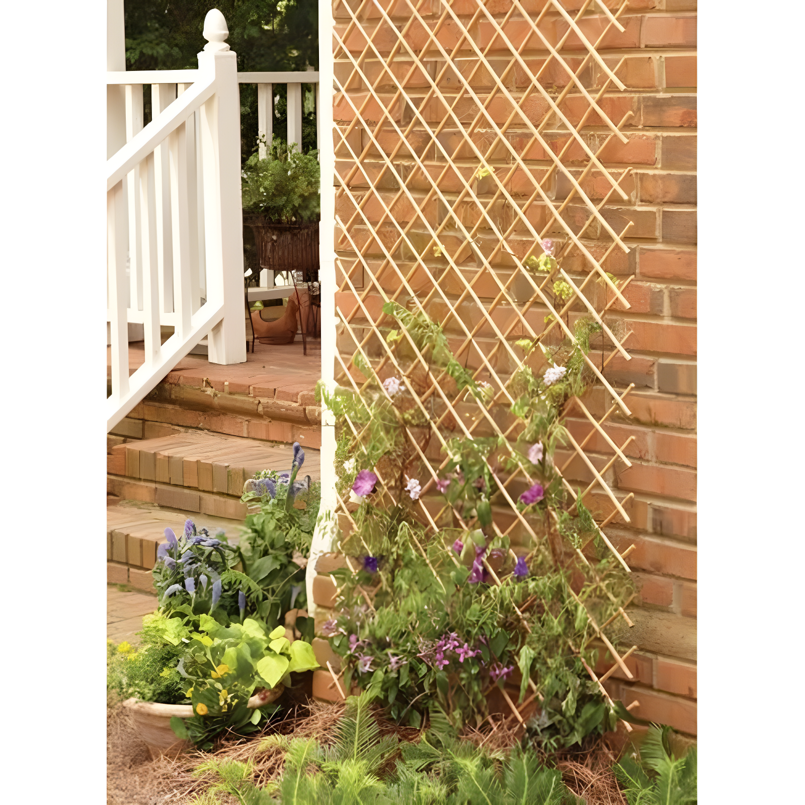 MGP 72'' W Wood Expanding Trellis