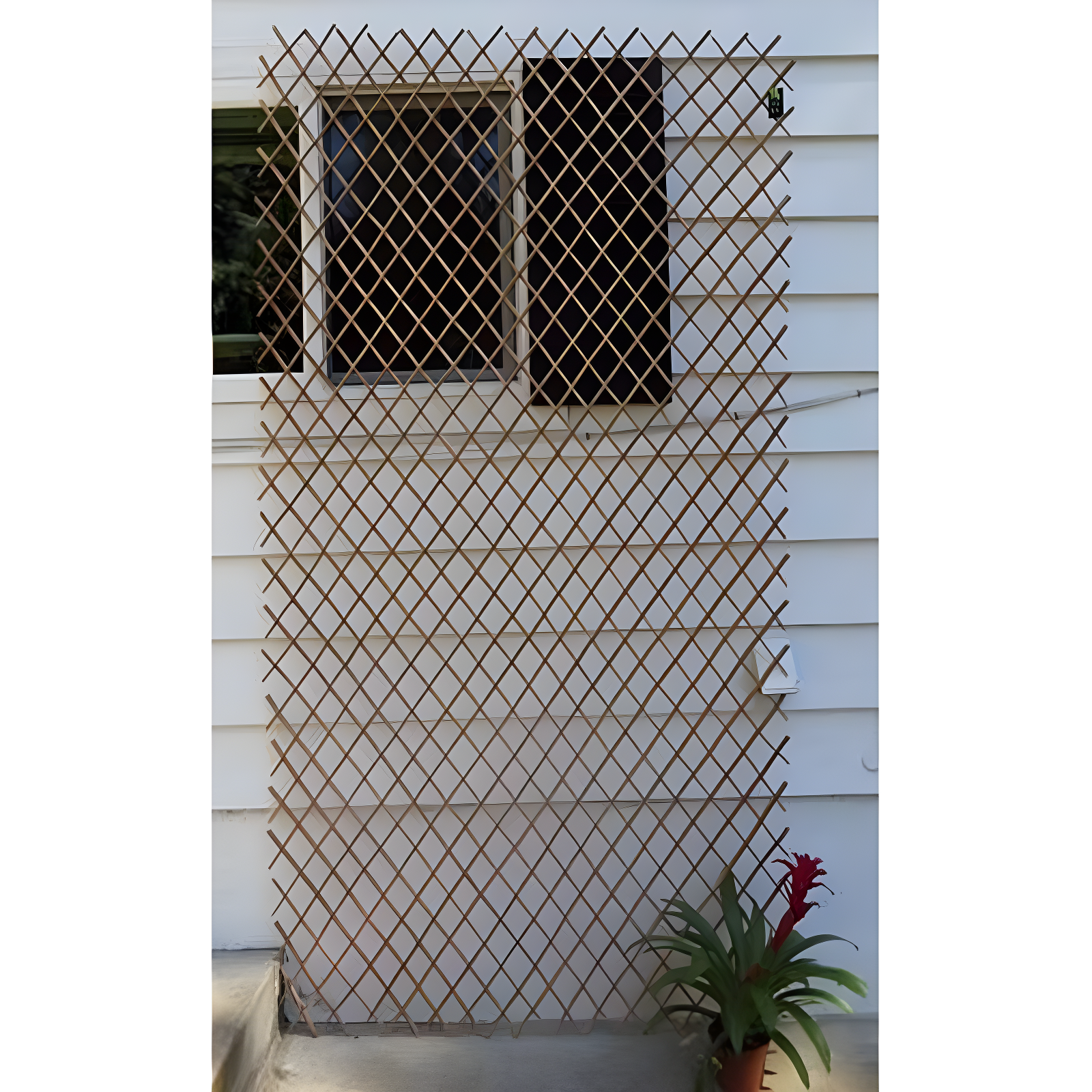 MGP 72'' W Wood Expanding Trellis