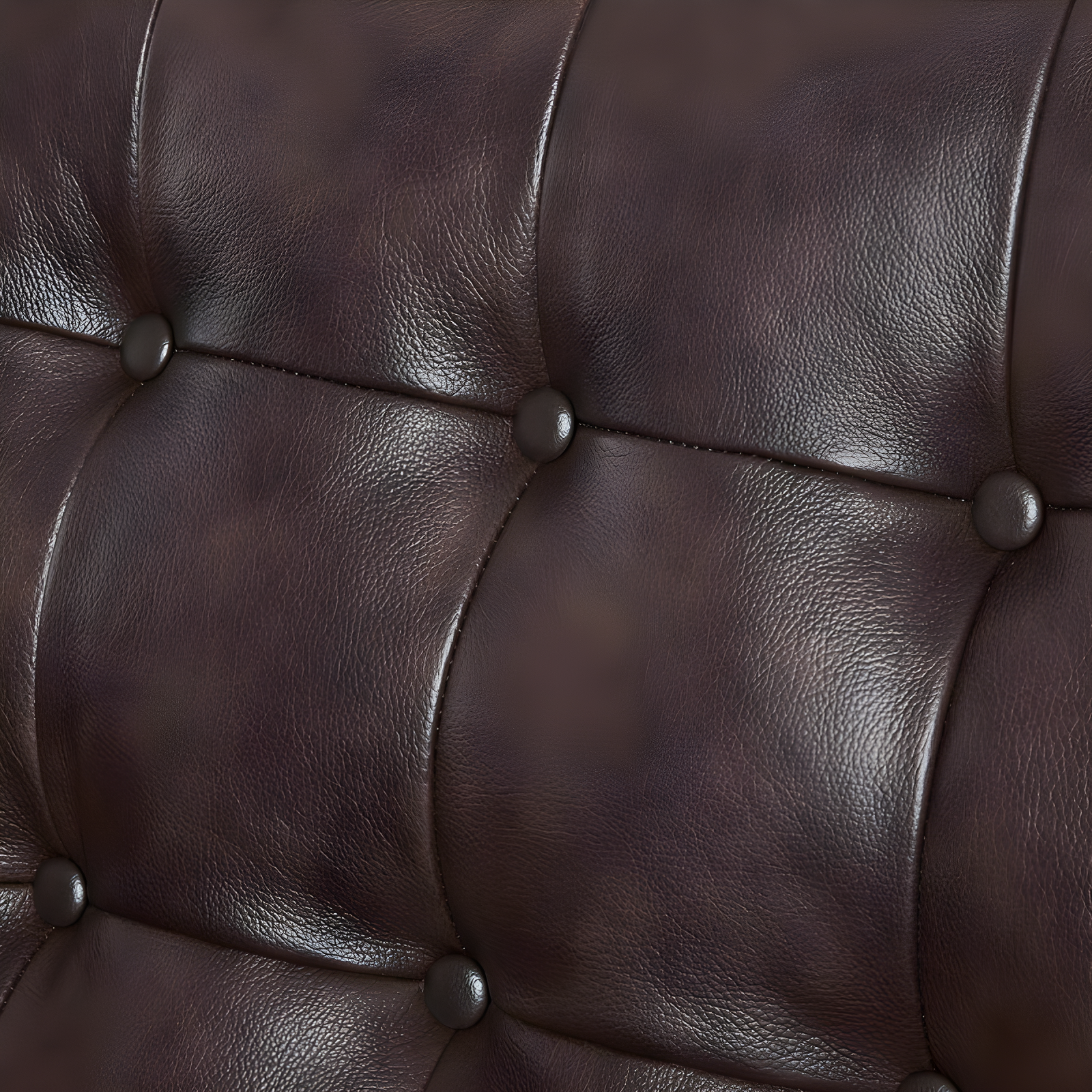Modway Exalt Tufted Leather Loveseat