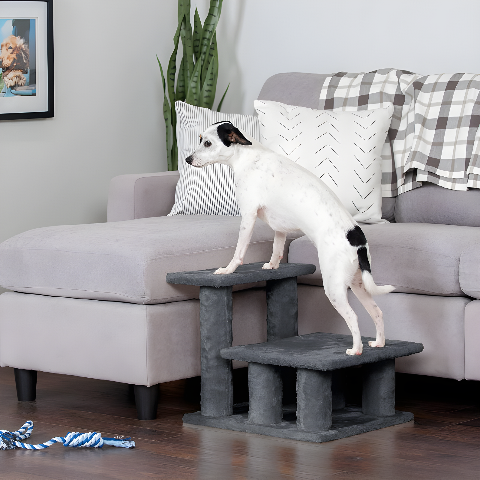 Multi-Step Pet Stairs For High Beds And Sofas,Gray, 3-Step