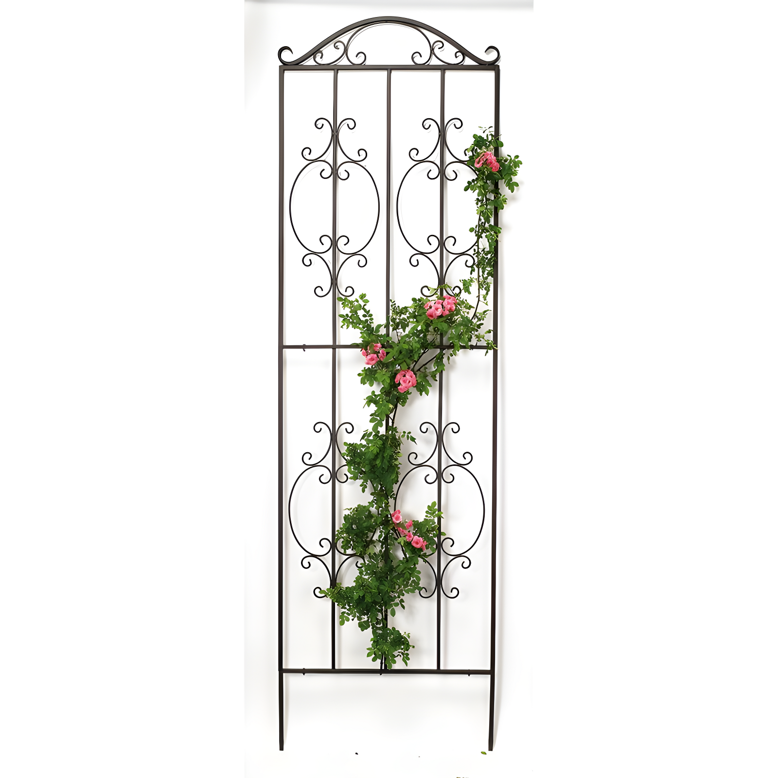 Plow & Hearth Montebello 109'' H x 32'' W Iron Gothic Trellis