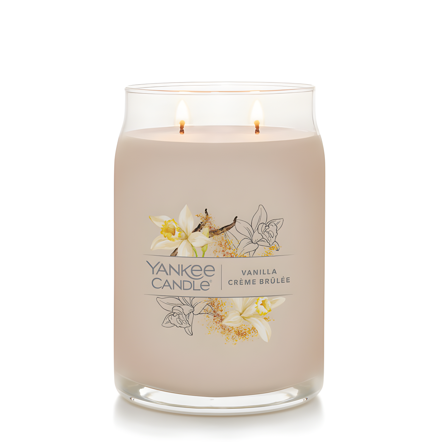 YANKEE CANDLE Signature Vanilla Crème Brulée Scented Candle