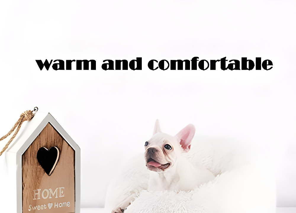 BODISEINT Modern Soft Plush Round Pet Bed for Cats or Small Dogs, Mini Medium Sized Dog Cat Bed Self Warming Autumn Winter Indoor Snooze Sleeping Cozy Kitty Teddy Kennel (M(23.6”Dx7.9 H), Dark Grey)