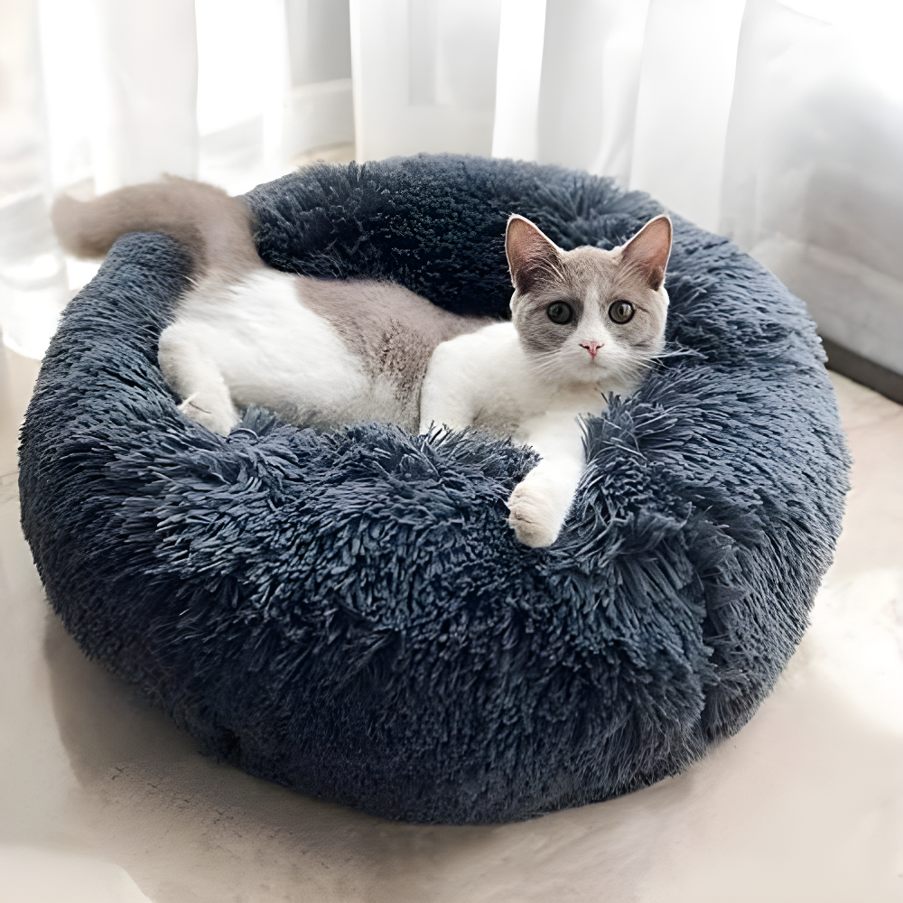 BODISEINT Modern Soft Plush Round Pet Bed for Cats or Small Dogs, Mini Medium Sized Dog Cat Bed Self Warming Autumn Winter Indoor Snooze Sleeping Cozy Kitty Teddy Kennel (M(23.6”Dx7.9 H), Dark Grey)