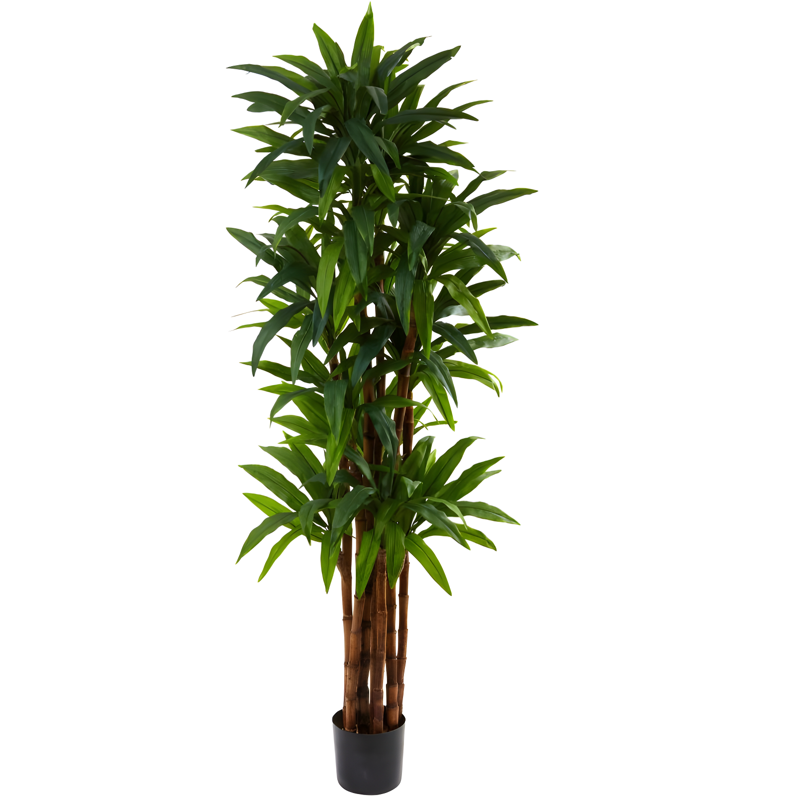 Nearly Natural 6.5-ft Dracaena Tree
