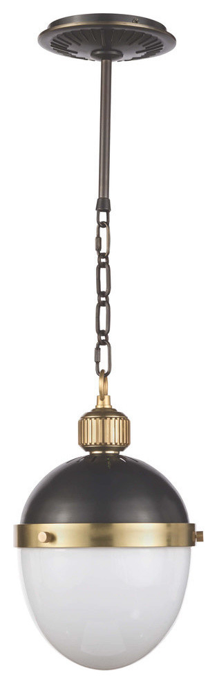 Frosted Glass Globe Pendant in Blackened Steel with Brass Detailing
